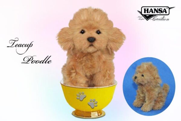 8418 Toy Poodle Tea Cup