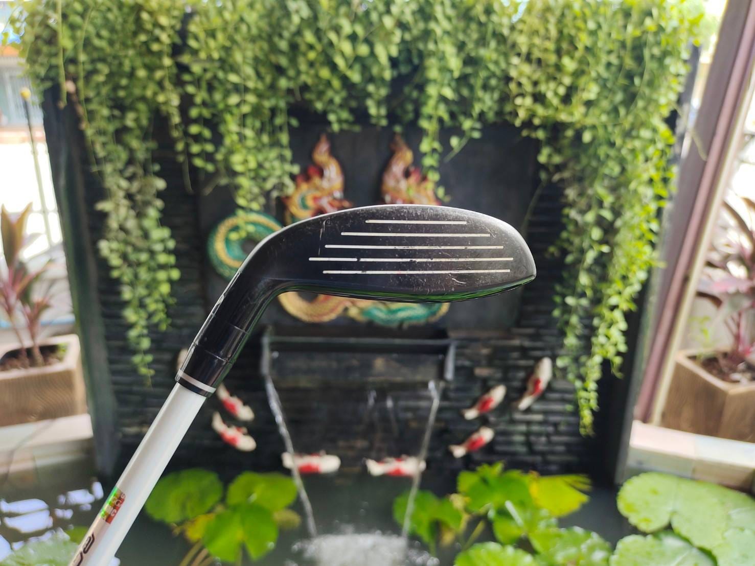 UT 3 Royal Collection RC Star องศา 19