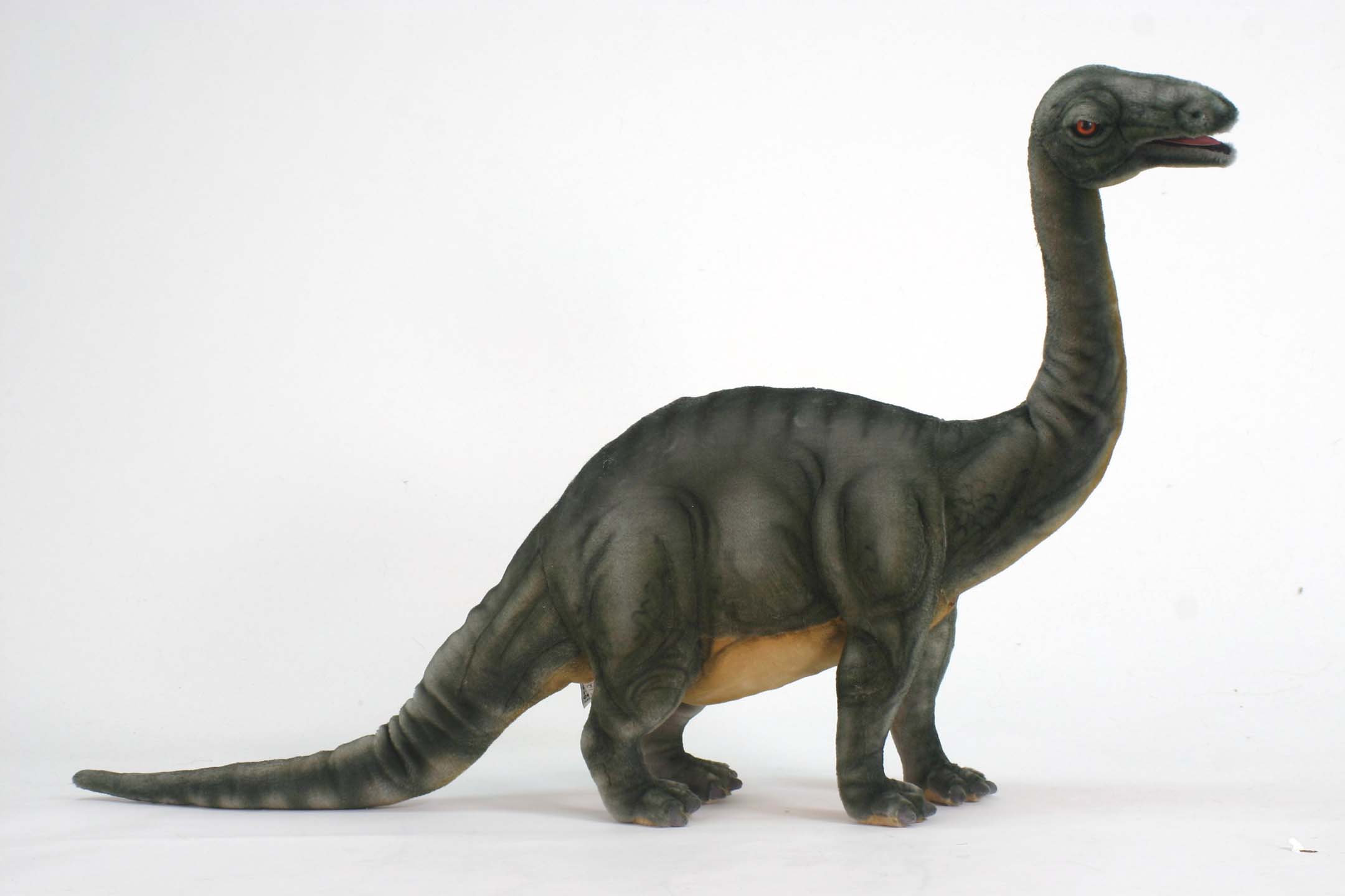 5712 Brontosaurus 70 cm. L