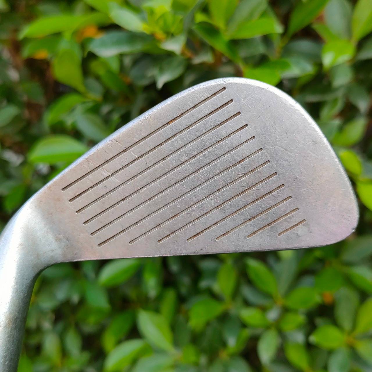 ชุดเหล็ก WILSON RADIUS SOLE 1200 GE มีเหล็ก 5-9 เเละ PW SW