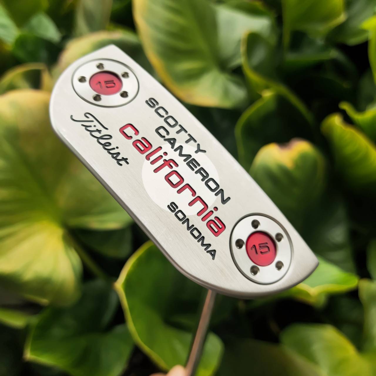 PUTTER SCOTTY CAMERON California Sonoma (เหมือนของใหม่ กริพยังไม่แกะพลาสติก)