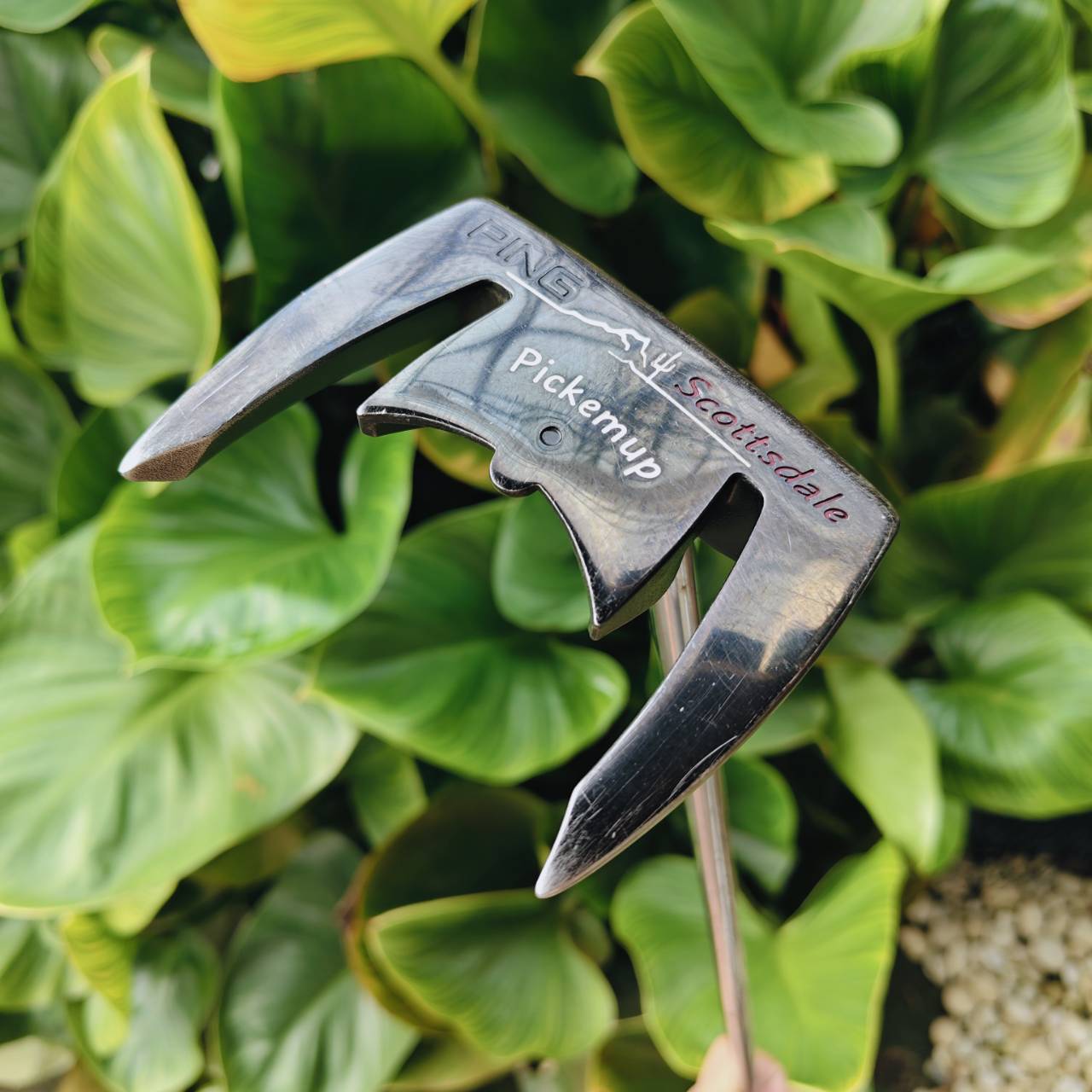 PUTTER PING SCOTTSDALE PICKEMUP ความยาว 34 นิ้ว 📌รุ่นที่เก็บลูกได้สุดฮิต❗