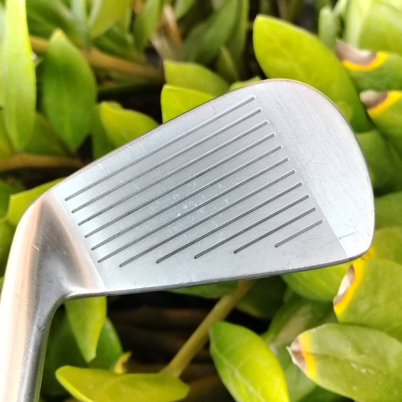 เหล็ก 3 TOURSTAGE MR22 วัสดุ FORGED พรีเมี่ยมญี่ปุ่น ก้าน DG X100 ใส่ได้เต็มเหนี่ยว ปรับแต่งช๊อตได้ดีมาก ไม้กอล์ฟพรีเมี่ยมมือสอง ของแท้ By NakaraLuxurious