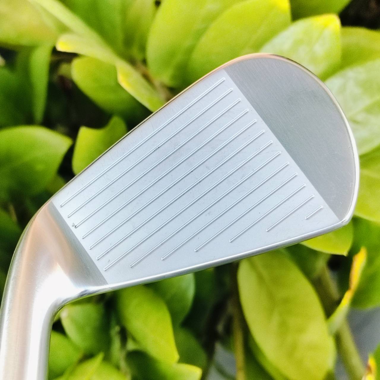 ชุดเหล็ก Nike JAPAN MachSpeed FORGED INITIAL IMPRESSIONS ก้าน BASSARA ทั้งชุด FLEX R สัมผัสความนุ่มของ FORGED CAVITY S20C ที่ทาง NIKE ผลิตมาขายในญี่ปุ่นเท่านั้น!!! ไม้กอล์ฟพรีเมี่ยมมือสอง ของแท้ By NakaraLuxurious