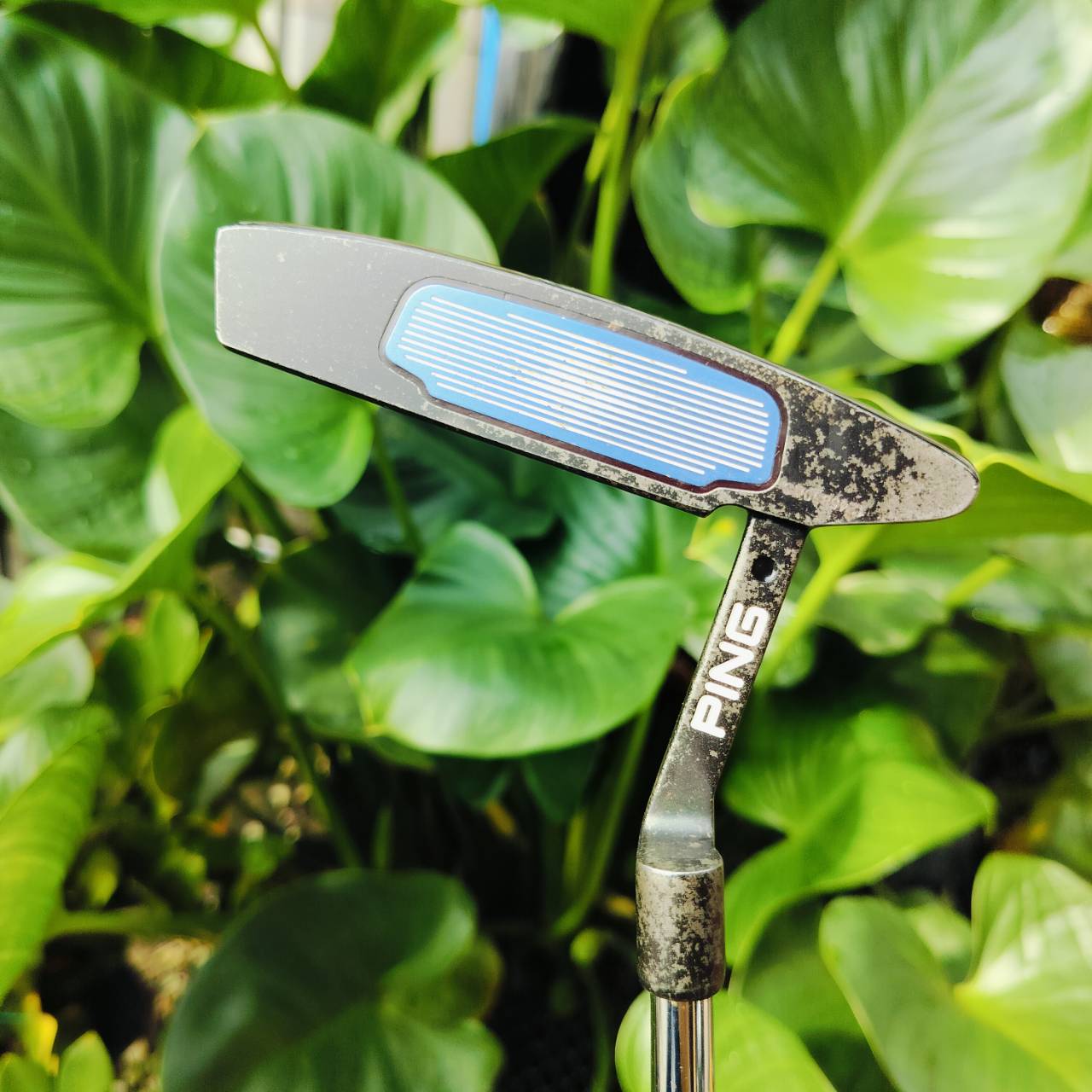 *** ไม้กอล์ฟมือซ้าย *** PUTTER PING ANSER2 CADENCE TR ความยาว 34 นิ้ว ตัวนี้เป็นตัวหน้าฟ้า BLUE : ALUMINIUM INSERT แผ่นหน้าอลุมิเนียมน้ำหนักเบา ให้ความรู้สึกที่นุ่มนวล ไม้กอล์ฟพรีเมี่ยมมือสอง ของแท้ By NakaraLuxurious