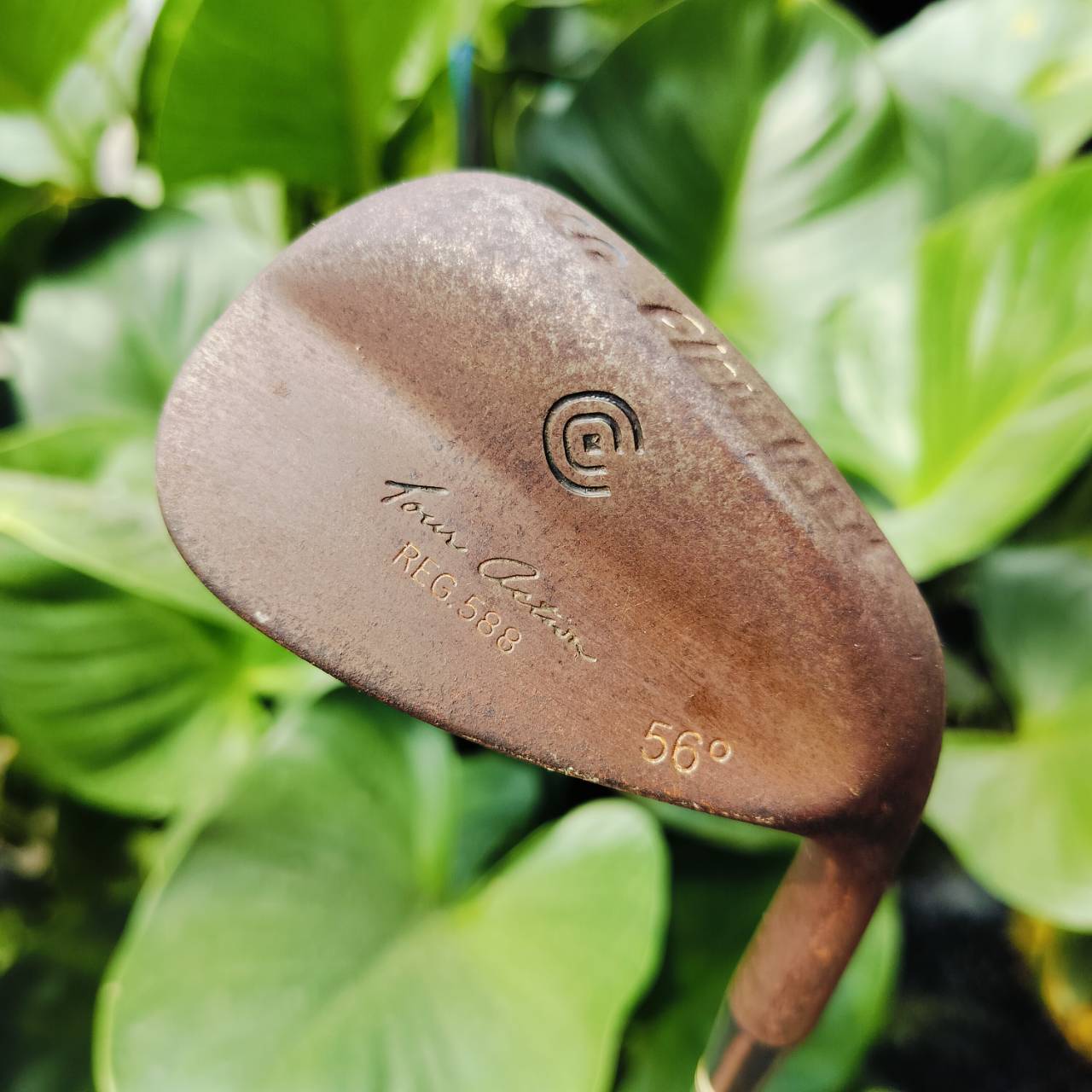 WEDGE CLEVELAND REG588 สนิม องศา 56 ก้านเดิม WEDGE FLEX เป็นรุ่น 588 ดั่งเดิมที่โด่งดังเป็นพลุแตก รุ่นนี้สุดคลาสสิคและเป็นรุ่นสนิมยอดนิยม ไม้กอล์ฟพรีเมี่ยมมือสอง ของแท้ By NakaraLuxurious