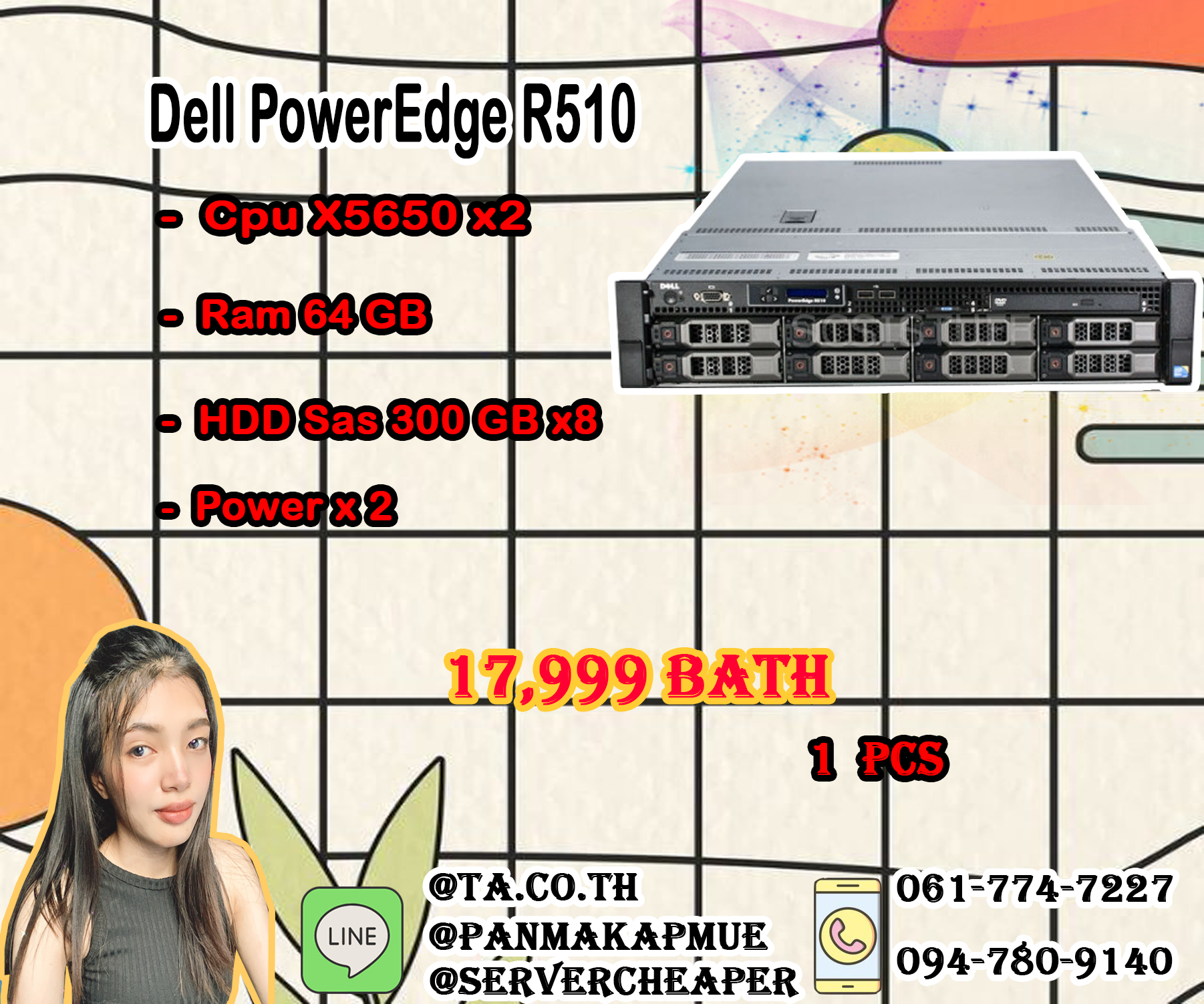 Dell Poweredge R510