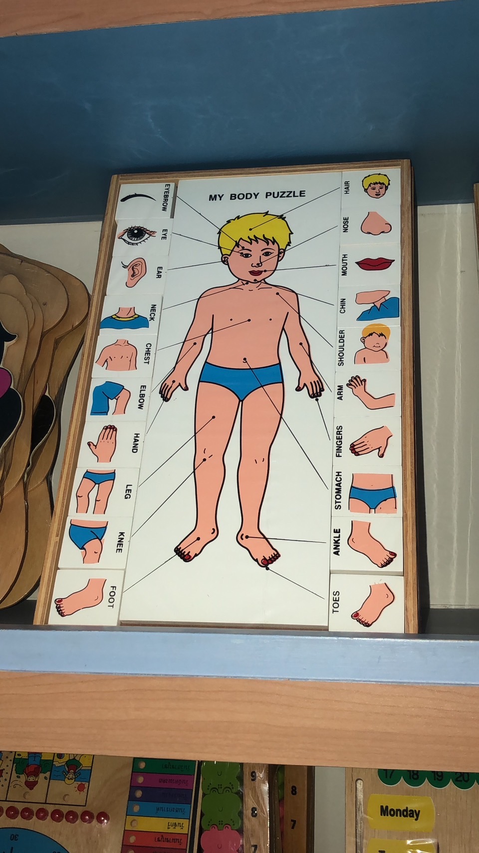 ของเล่น, ของเล่นเด็ก, จิ๊กซอว์, ตัวต่อ, จับคู่ร่างกายของฉัน (ภาษาอังกฤษ) , ของเล่นไม้, ของเล่นเสริมพัฒนาการ, ของเล่นเด็กอนุบาล, สื่อการสอนเด็กอนุบาล