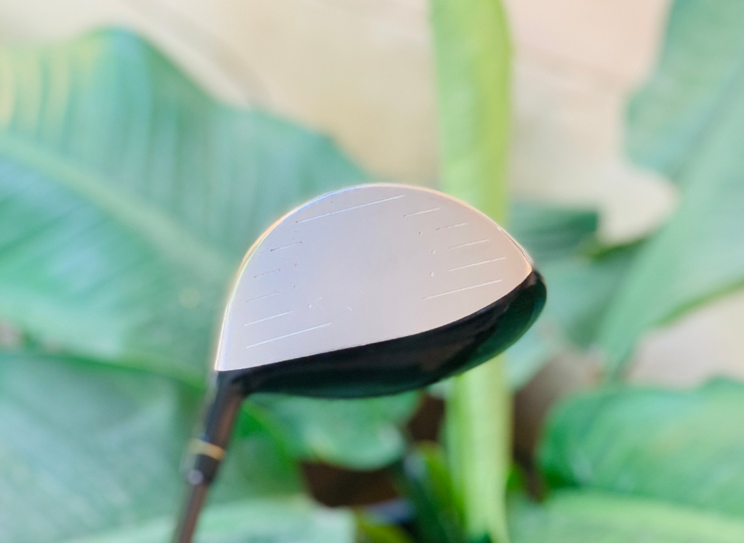 DRIVER TOUR CONCEPT ROUND SOLE DESIGN