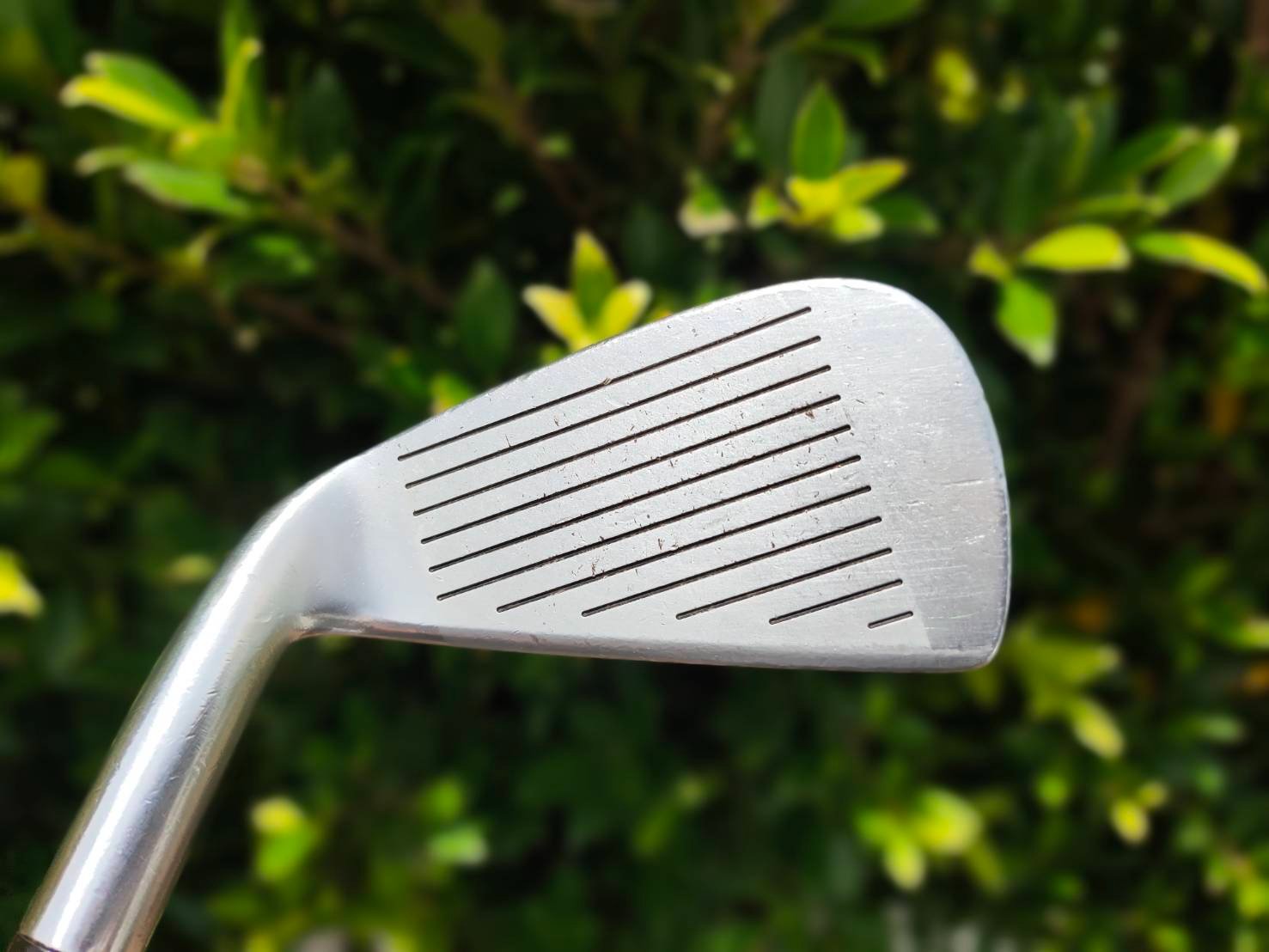 เหล็ก 5 HONMA LB-606 FORGED CAVITY MADE IN JAPAN