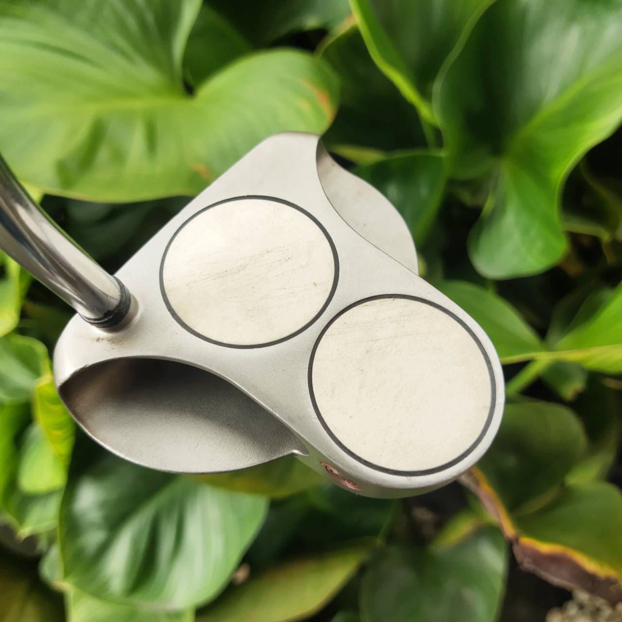 PUTTER ODYSSEY TWO-BALL WHITE HOT XG ฟีลนุ่มนวล ลายหน้าไม้ เกาะไลน์มาก