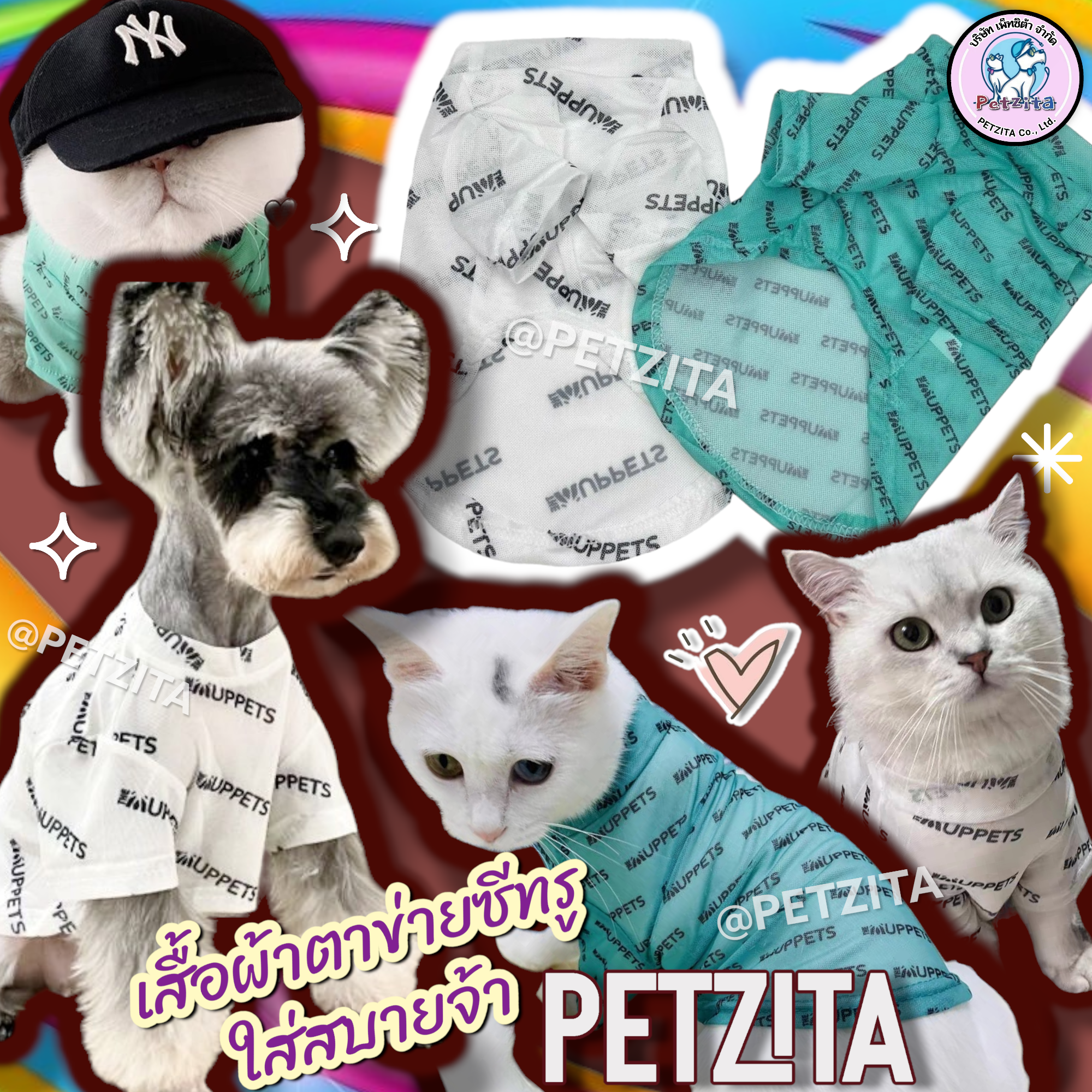 🇹🇭พร้อมส่ง🇹🇭🐶🐱⚪️🟢 เสื้อผ้าตาข่ายซีทรู ลายเท่ห์ ใส่สบายมาก for เสื้อผ้าสัตว์เลี้ยง สุนัข หมา แมว