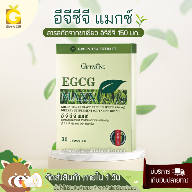 EGCG Maxx (อีจีซีจี แมกซ์) สารสกัดจากชาเขียว ให้อีจีซีจี 150 มก./แคปซูล ตัวช่วยดูแลสุขภาพ เพิ่มการเผาพลาญไขมัน