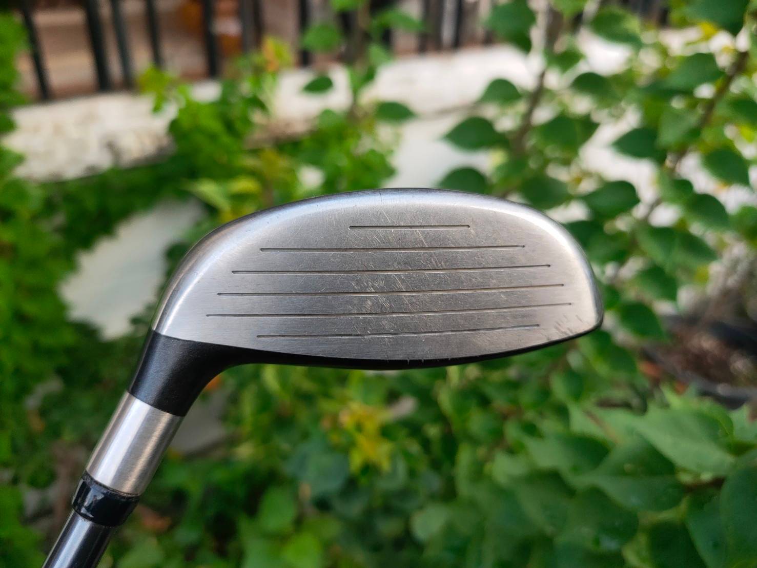 FW5 CLEVELAND HIBORE