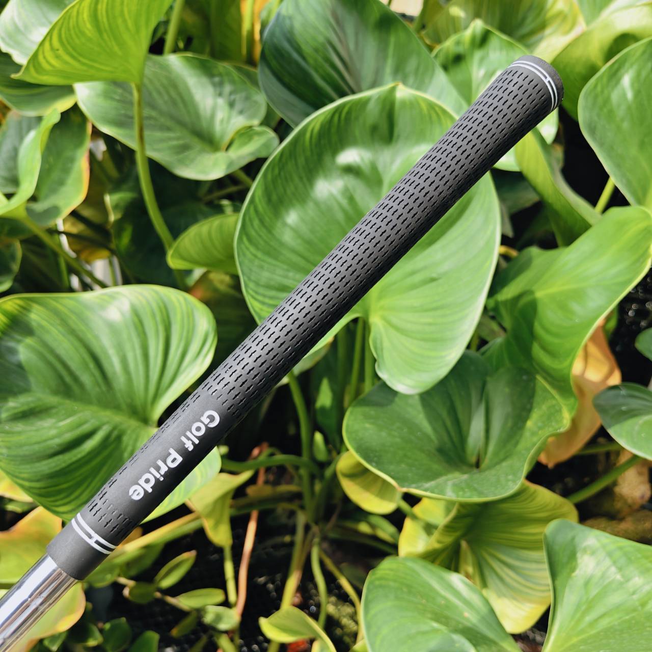 WEDGE PING TOUR-W – 60° | Bounce 10° ความแม่นยำรอบกรีนที่คุณต้องลอง!