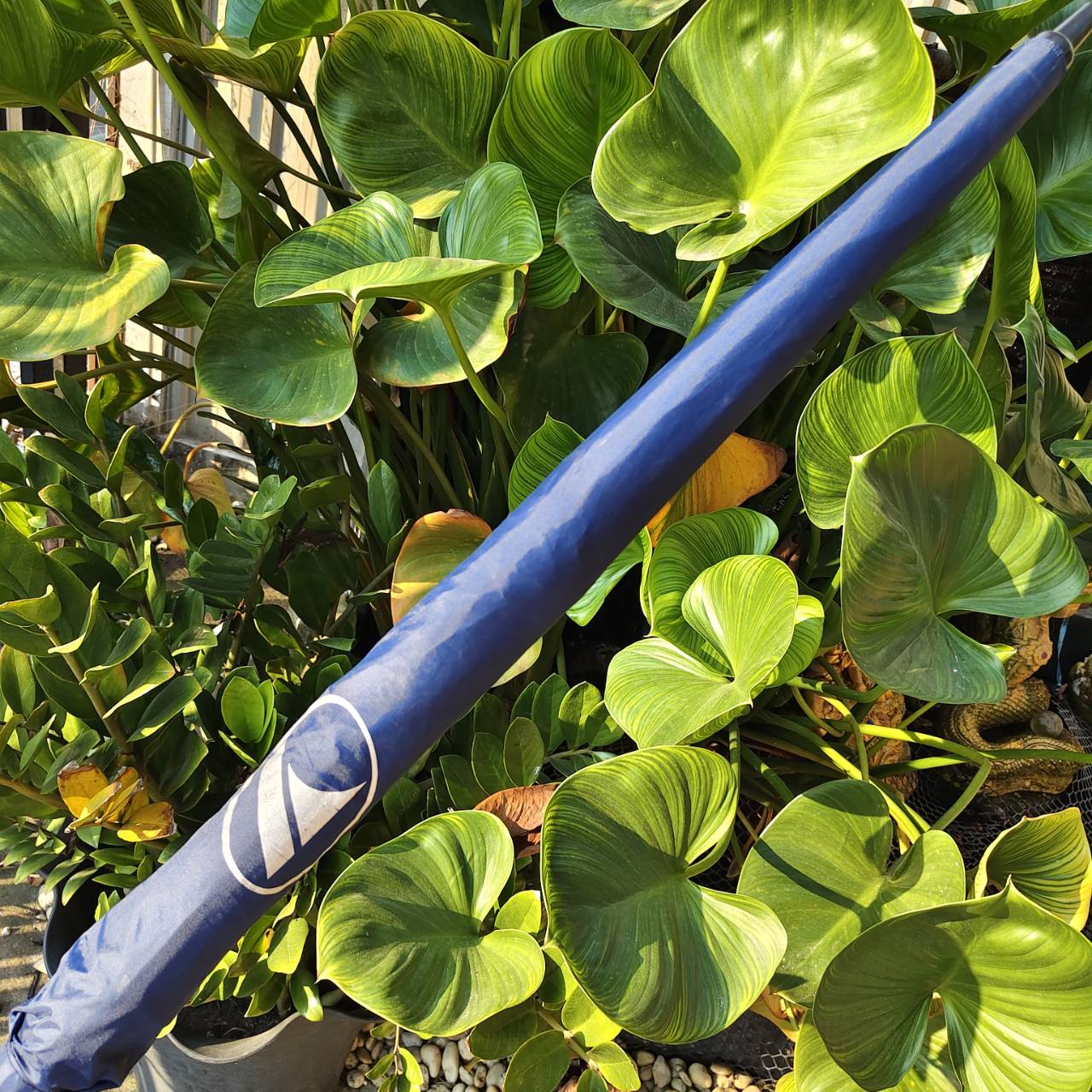 ร่มกอล์ฟ PROKENNEX สองชั้น – เคลือบกัน UV อย่างดี ⛳ ของดีมือสอง สภาพสวยมาก ใครหาอยู่ห้ามพลาด!