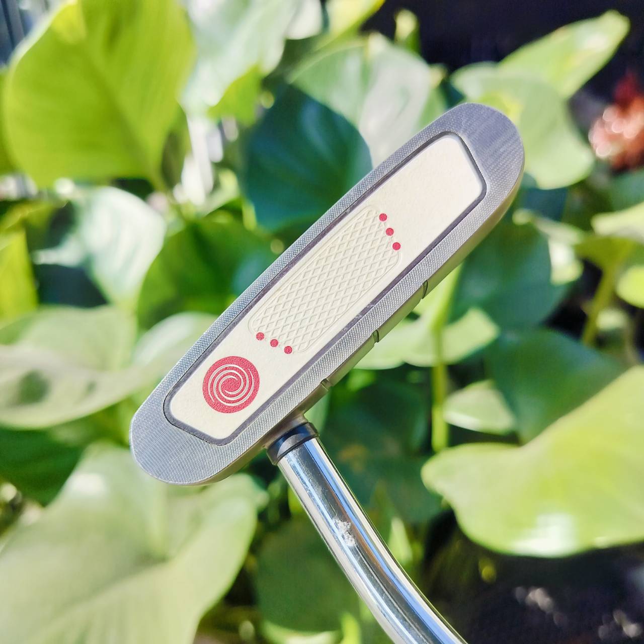 PUTTER ODYSSEY WHITE HOT XG ROSSIE ความยาว 34 นิ้ว ก้าน + กริพ เดิม สภาพสวยมาก ไม้กอล์ฟพรีเมี่ยมมือสอง ของแท้ By NakaraLuxurious