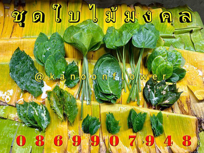 ใบไม้มงคล (พิธี)