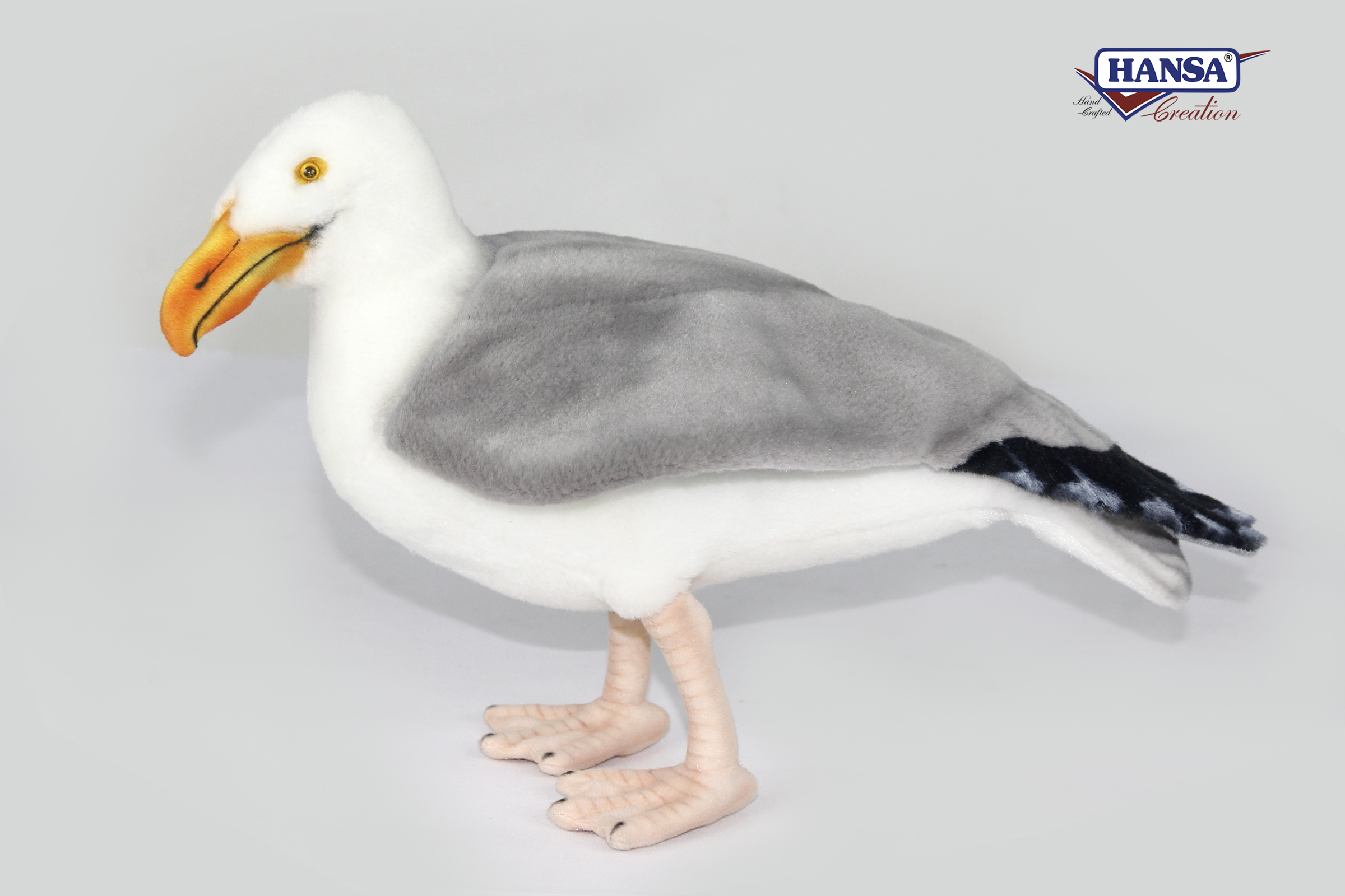 7235 Albatross 36 cm.L