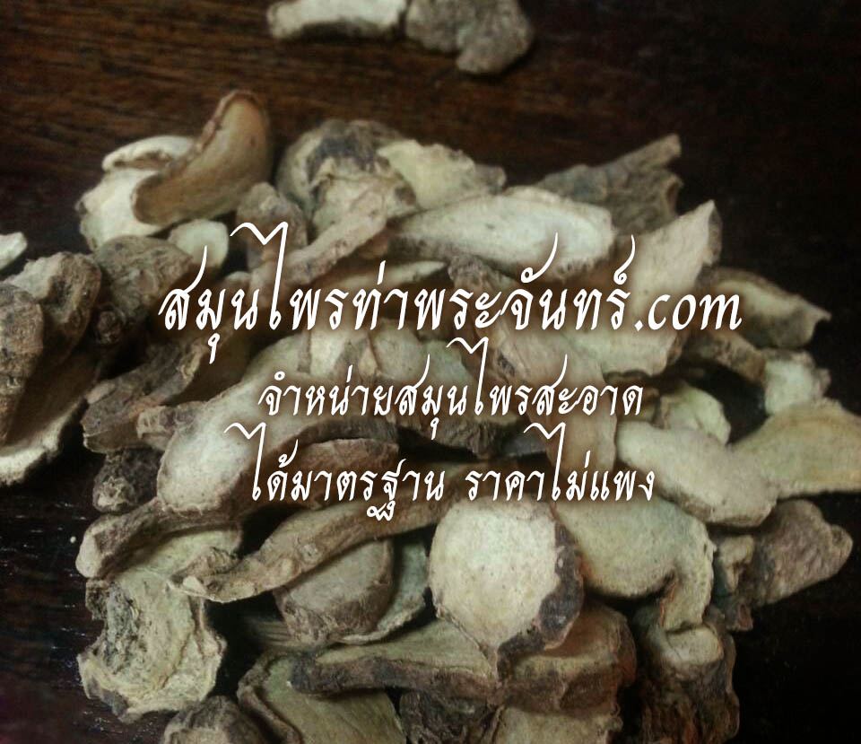 กระชายขาวแห้ง / กระชายเหลืองแห้ง