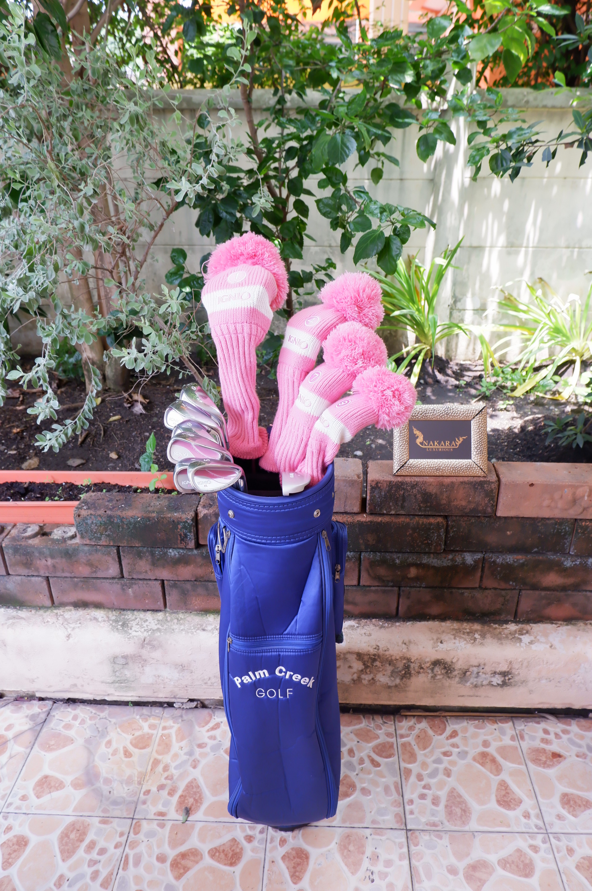 Full Set IGNIO FIRES YOU UP. EL