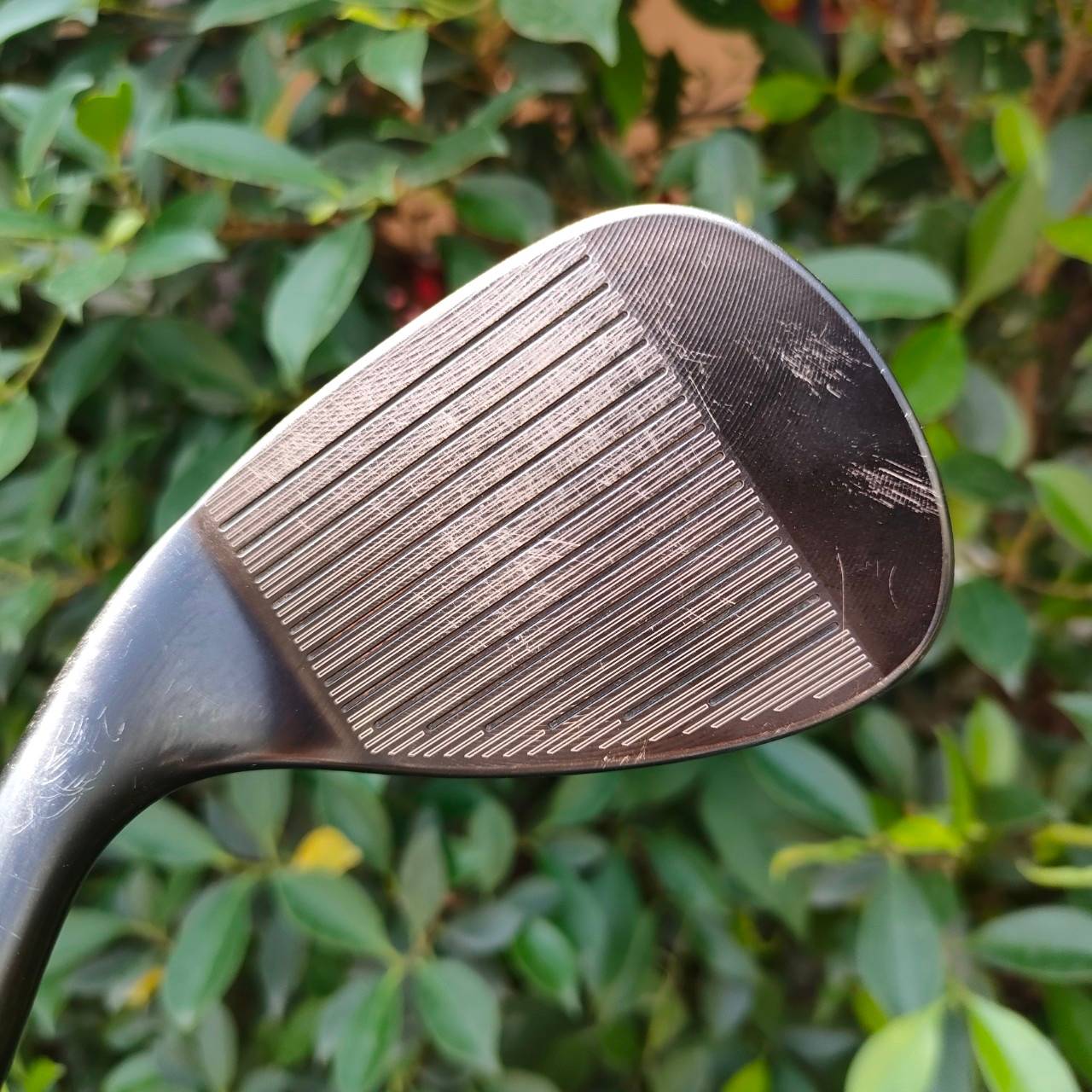 WEDGE CLEVELAND 588 -RTX องศา 50 BOUNCE 10 ก้าน DYNAMIC GOLD FLEX WEDGE