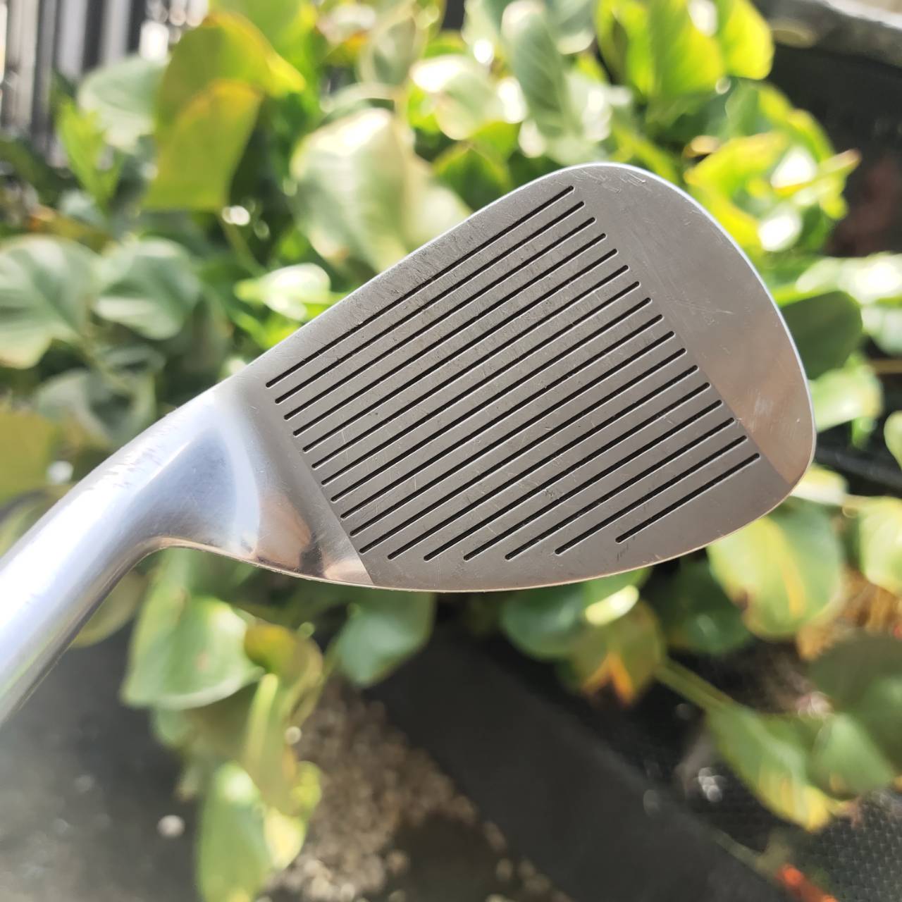 SW BRIDGESTONE EAGLE ฟีลนุ่ม เปิดหน้าได้ ตีขึ้นง่าย! เหมาะกับคนที่ต้องการควบคุมลูกสั้นรอบกรีน