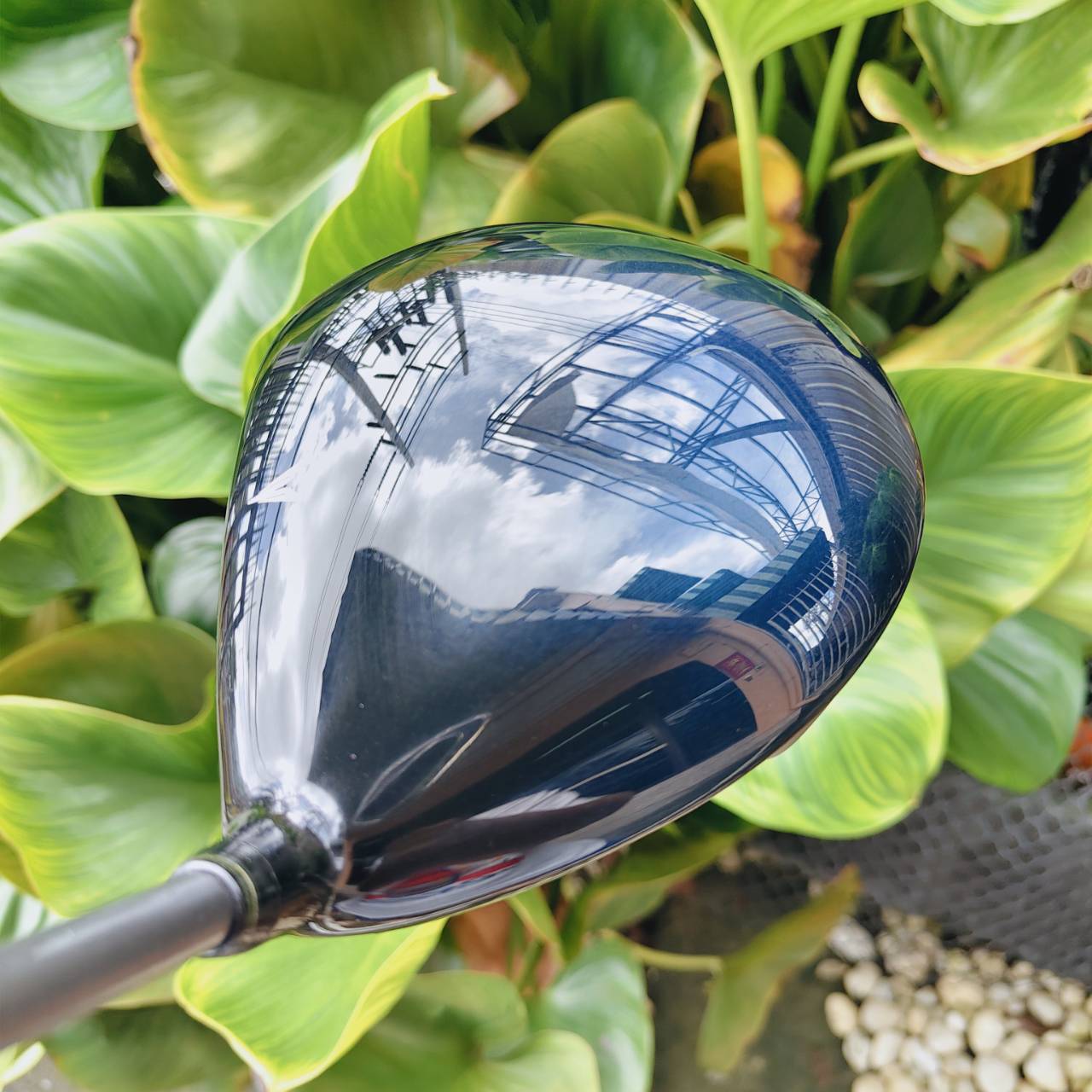 Driver XXIO6 เทคโนโลยี Face: Cup Face + variable thickness → เพิ่ม ball speed และ distance