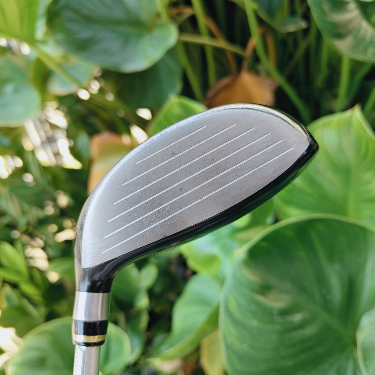 FW 3+ ROMARO RAY TYPE R – TOUR SELECT ⛳ ก้าน BASILEUS (แค่ก้านก็เกินคุ้ม) ของหายาก ทัวร์สเปกแท้ๆ!