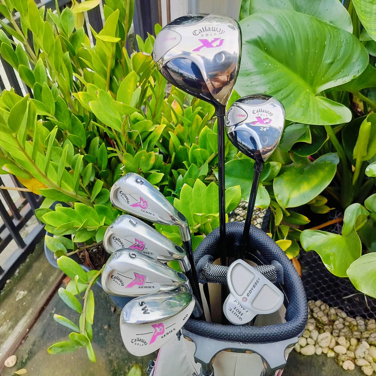 **ไม้กอล์ฟเด็กผู้หญิง** Callaway XJ SERIES เหล็ก 7 ความยาว 34 นิ้ว ชุดกอล์ฟเด็กผู้หญิง ที่ได้คุณภาพ มาตรฐานเดียวกับไม้ผู้ใหญ่ จำนวนไม้กอล์ฟเยอะมาก ของดีมาก ของใหม่แพงมาก ดีกว่าซื้อชุดจากจีนเยอะ!!! ไม้กอล์ฟพรีเมี่ยมมือสอง ของแท้ By NakaraLuxurious