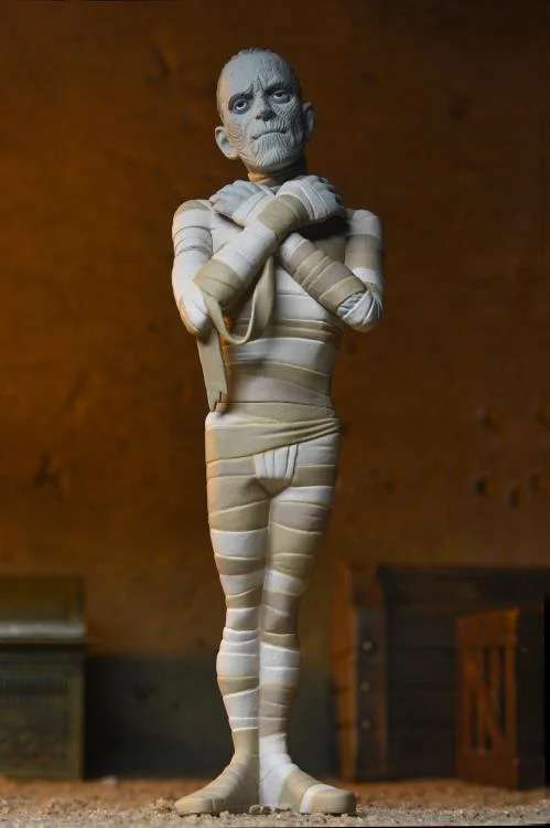 [สั่งจอง] NECA Universal Monster : Toony Terrors Series 10 Asst