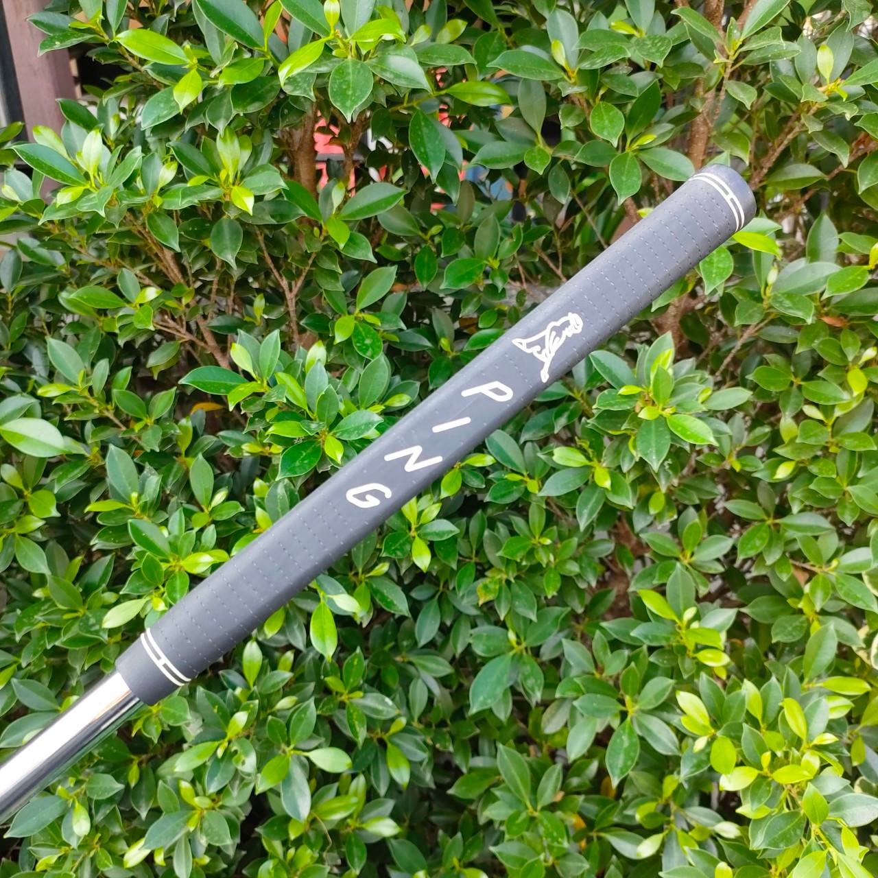 PUTTER PING KARSTEN TR B60 ก้าน PING STROKE FITTING ความยาว 35 นิ้ว หน้าสัมผัสสุดๆ เกาะไบน์มาก สวยพรีเมี่ยมมาก