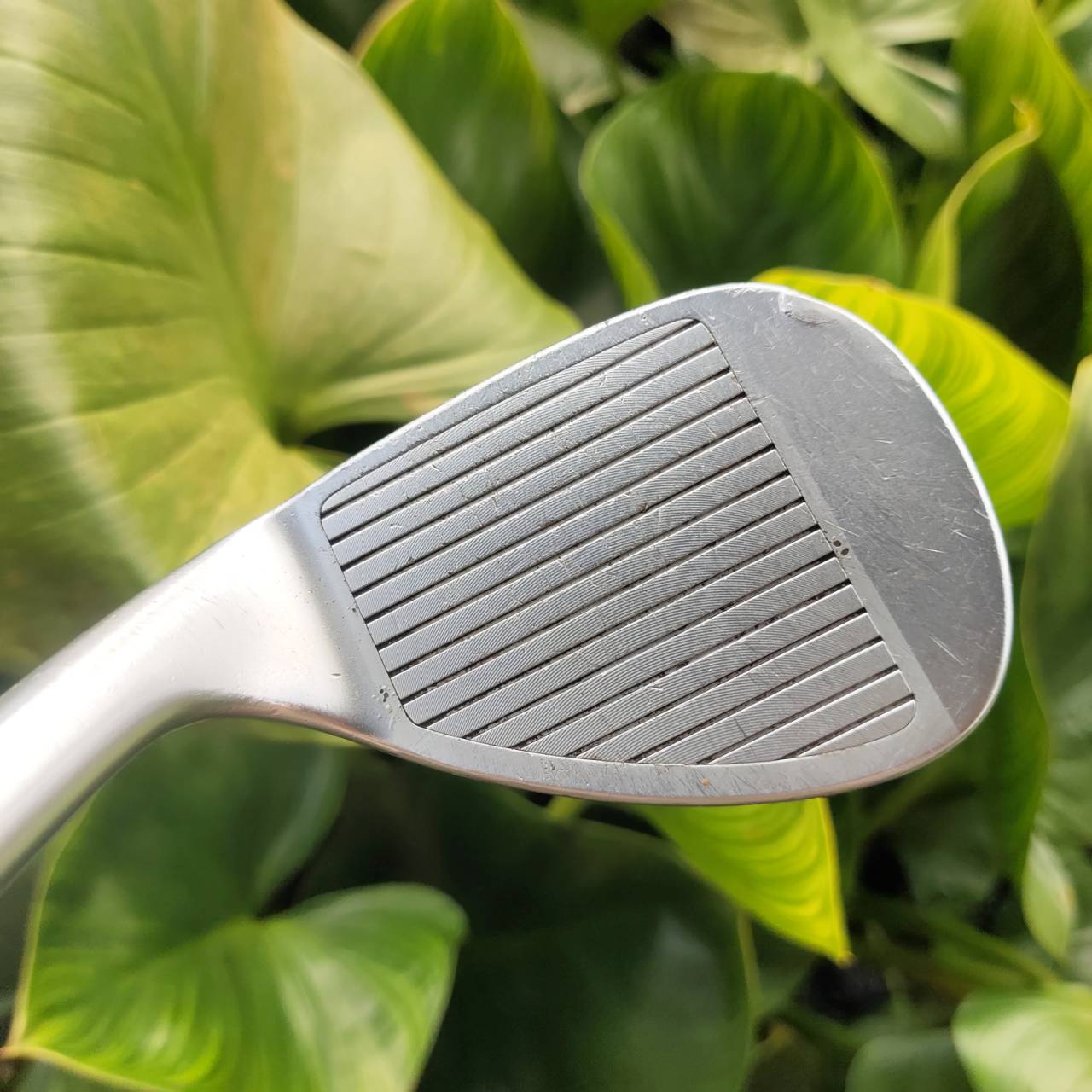 WEDGE Taylormade TP Z องศา 60 BOUNCE 6 หน้า MILLED สปินโหดจัด Z Grooves ร่องหน้าไม้แบบ Z