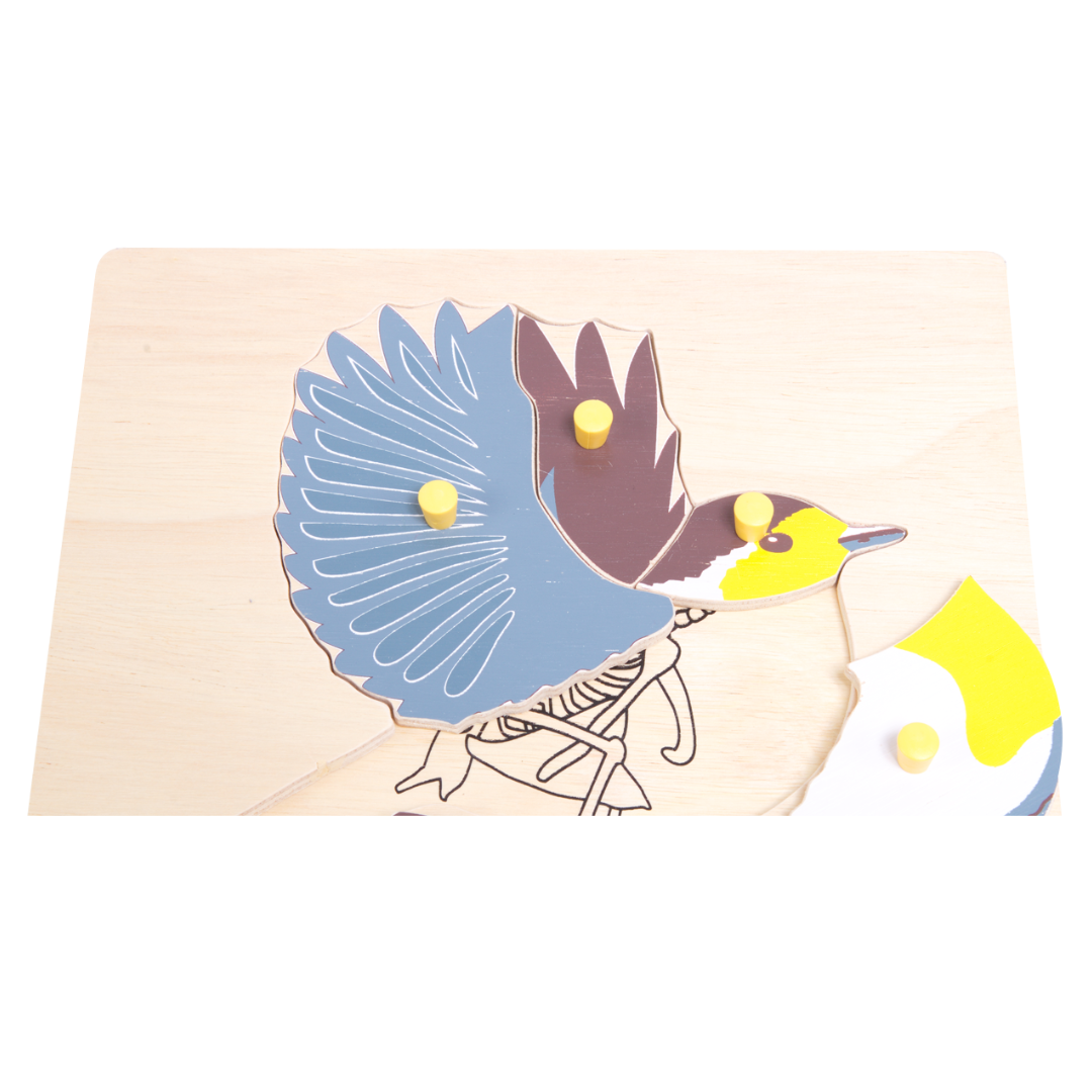 ภาพตัดต่อรูปโครงกระดูก ราคาต่อ 1 แบบ ,ของเล่นไม้, ของเล่นเสริมพัฒนาการ, ของเล่นเด็ก, สื่อการสอน,มอนเตสซอรี่ ,montessori, สื่อการสอนประถม