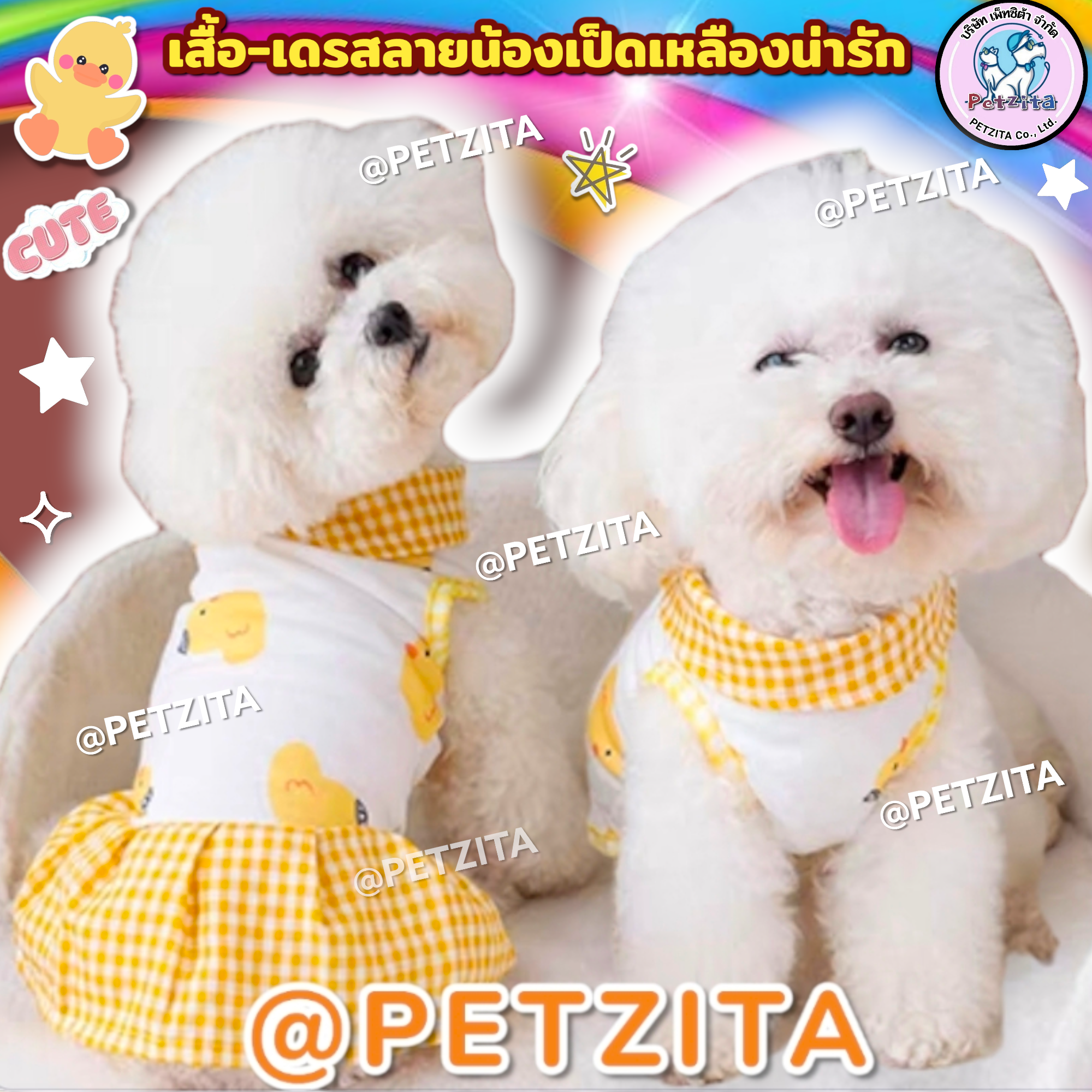 🇹🇭พร้อมส่ง🇹🇭🐤เสื้อ-เดรส🐤ลายน้องเป็ดเหลืองน่ารัก เสื้อผ้าสัตว์เลี้ยง สุนัข หมา แมว