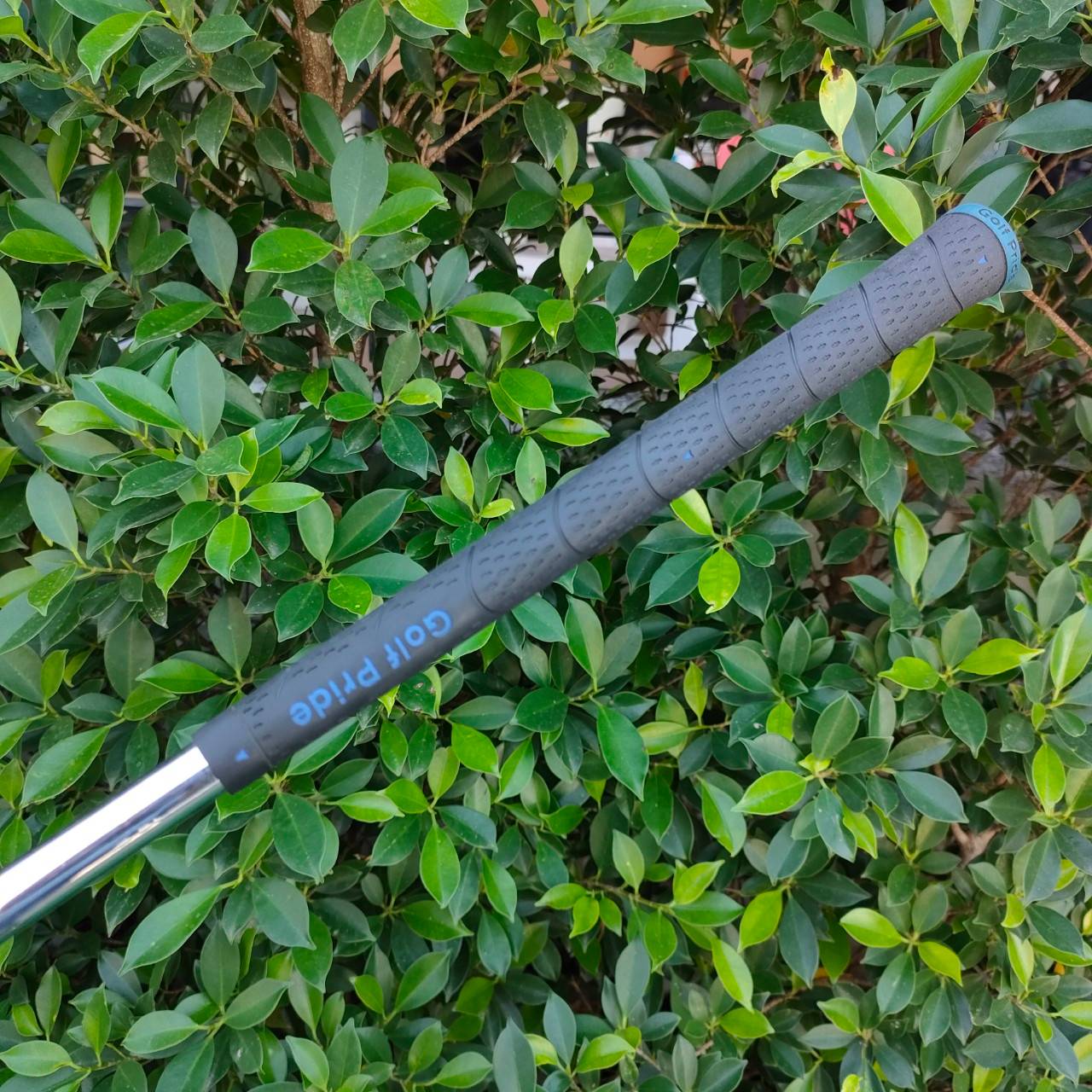 ชุดเหล็ก KING COBRA S9 มีเหล็ก 5-9 เเละ PW GW ก้าน N.S.PRO FLEX A COBRA เน้นตีง่ายและได้ระยะ โดยไม่ต้องออกแรงมาก