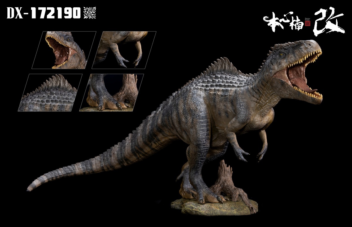 [สั่งจอง] Nanmu Studio Jurassic Series Full Giganotosaurus Statute 2.0