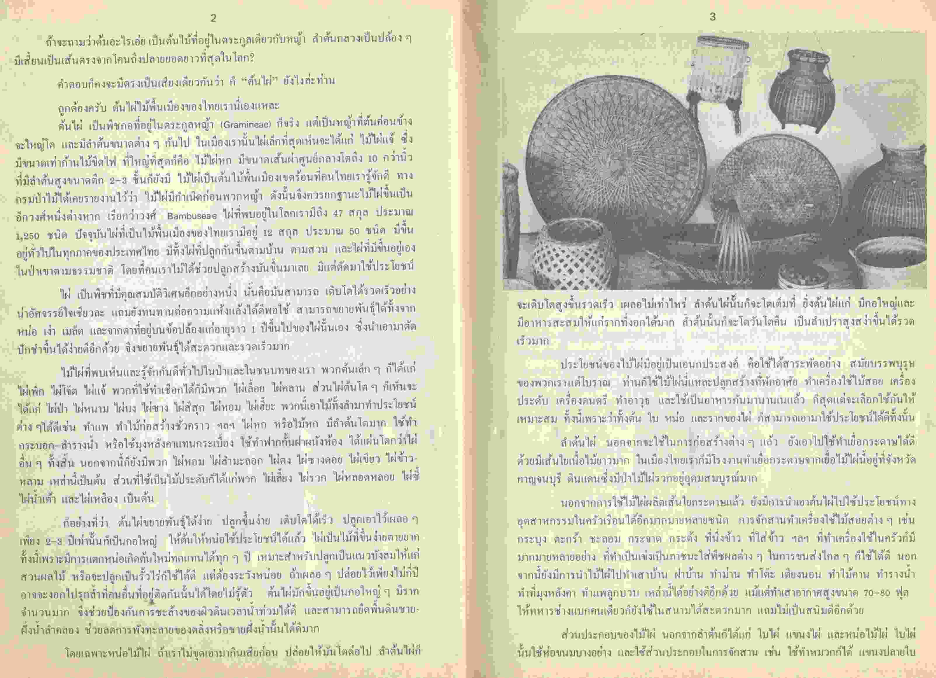 เพื่อชีวิตที่ดีขึ้น