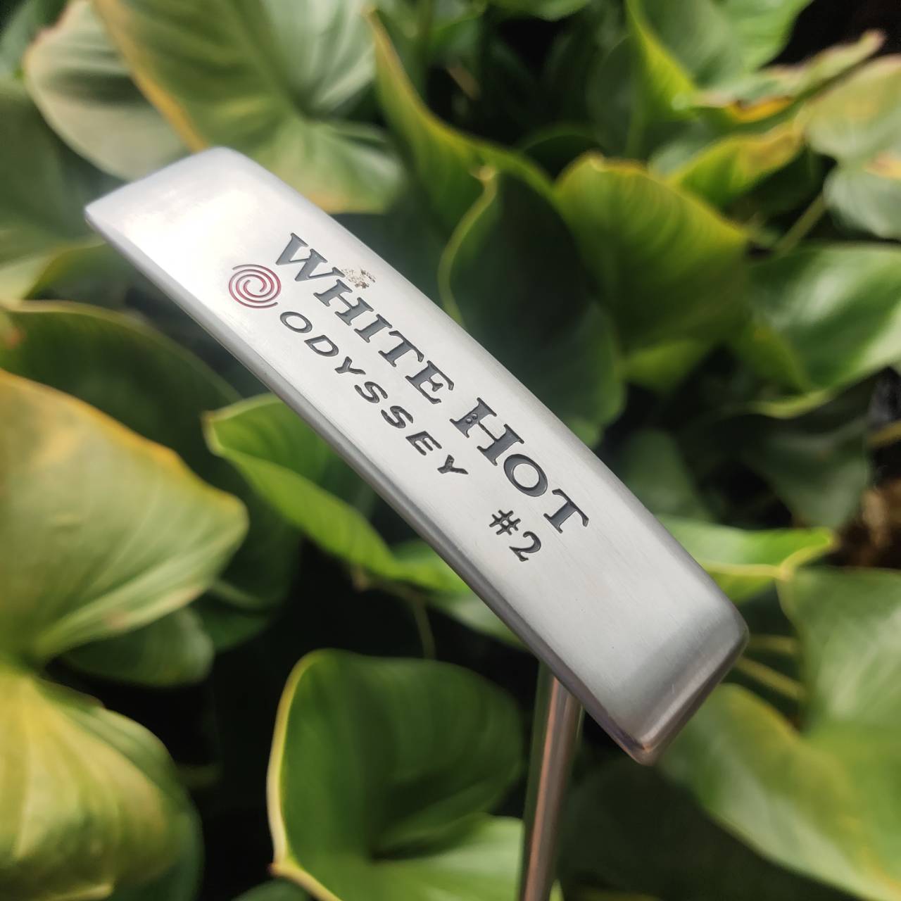 Putter ODYSSEY WHITE HOT #2 34 นิ้ว รุ่นยอดนิยม ใช้งานง่าย ฟีลพัตต์นุ่ม มั่นใจทุกระยะ!