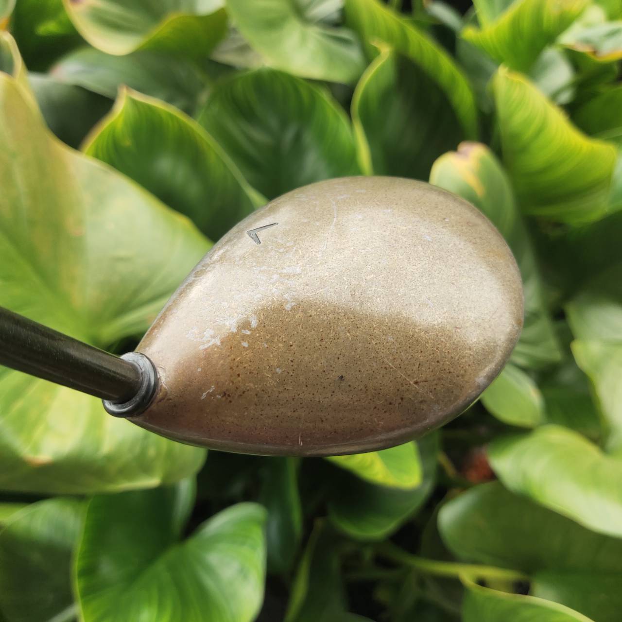 หัวไม้ 2 Callaway BIGBERTHAR ตีไกลมากกว่าหัวไม้ 3 มากค่ะ ใช้ทีออฟในหลุมที่ FW แคบก็ได้