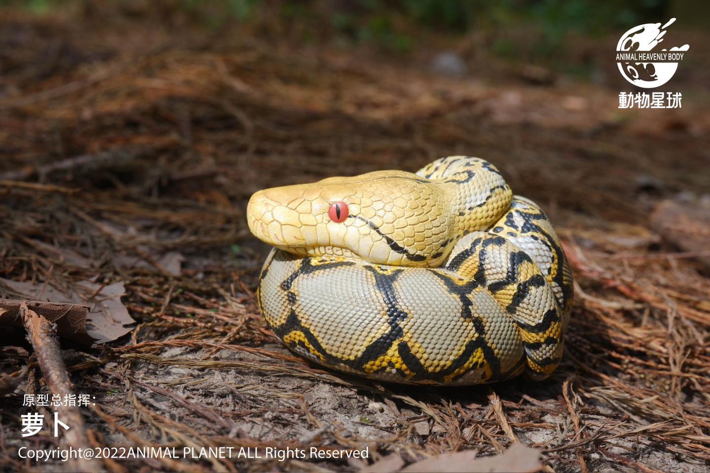 [สั่งจอง]Animal Planet : a series of laugh and grow fat No.9