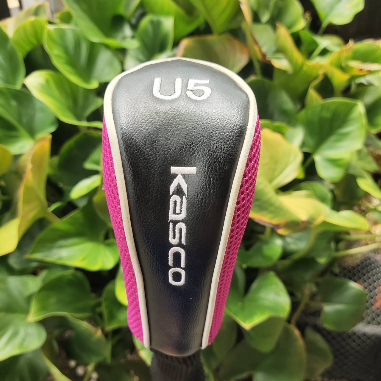 U5 KASCO DIMPALS Loft 24 องศา ก้าน FLEX L (สำหรับผู้หญิง หรือมือใหม่ที่สปีดสวิงช้า)