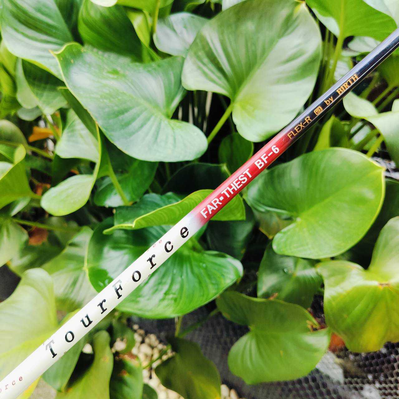 FW7 BIRTH(バース) GLAMOUR CHEER เป็นการออกแบบ SUPER DEEP ตีง่ายมากๆ ไม้กอล์ฟพรีเมี่ยมมือสอง ของแท้ By NakaraLuxurious