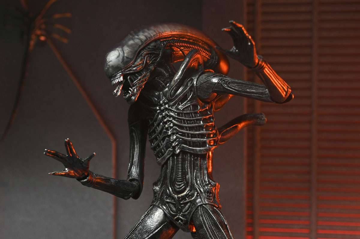[สั่งจอง]Neca : Xenomorph XX121