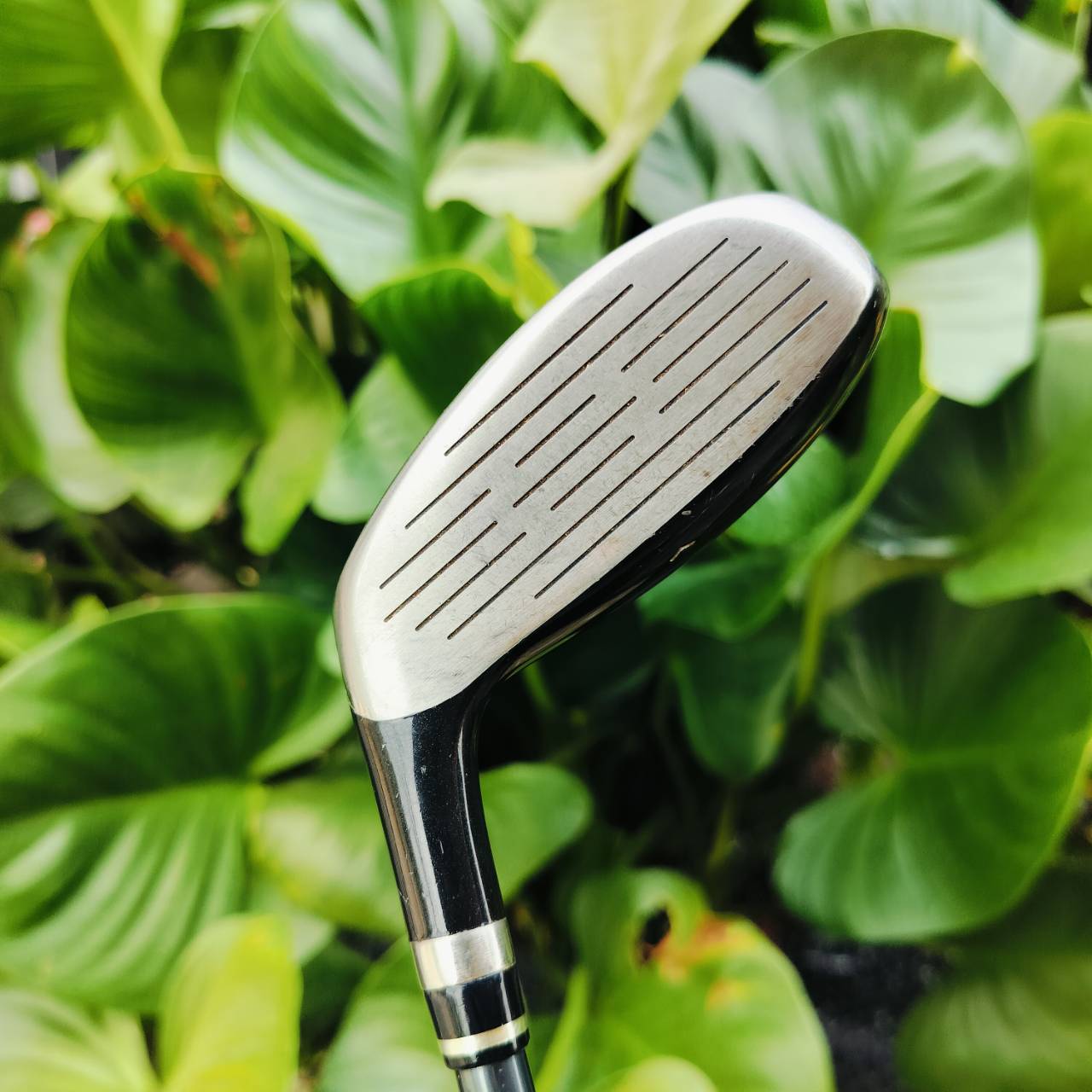U4 WILSON STAFF องศา 22 ก้าน UST MAMIYA JAPAN FLEX R ใช้ NANO TECNOLOGY กริพ IOMIC ซีรี่ STAFF เป็นซีรี่ย์ที่โปรทัวร์ใช้จริง ไม้กอล์ฟพรีเมี่ยมมือสอง ของแท้ By NakaraLuxurious