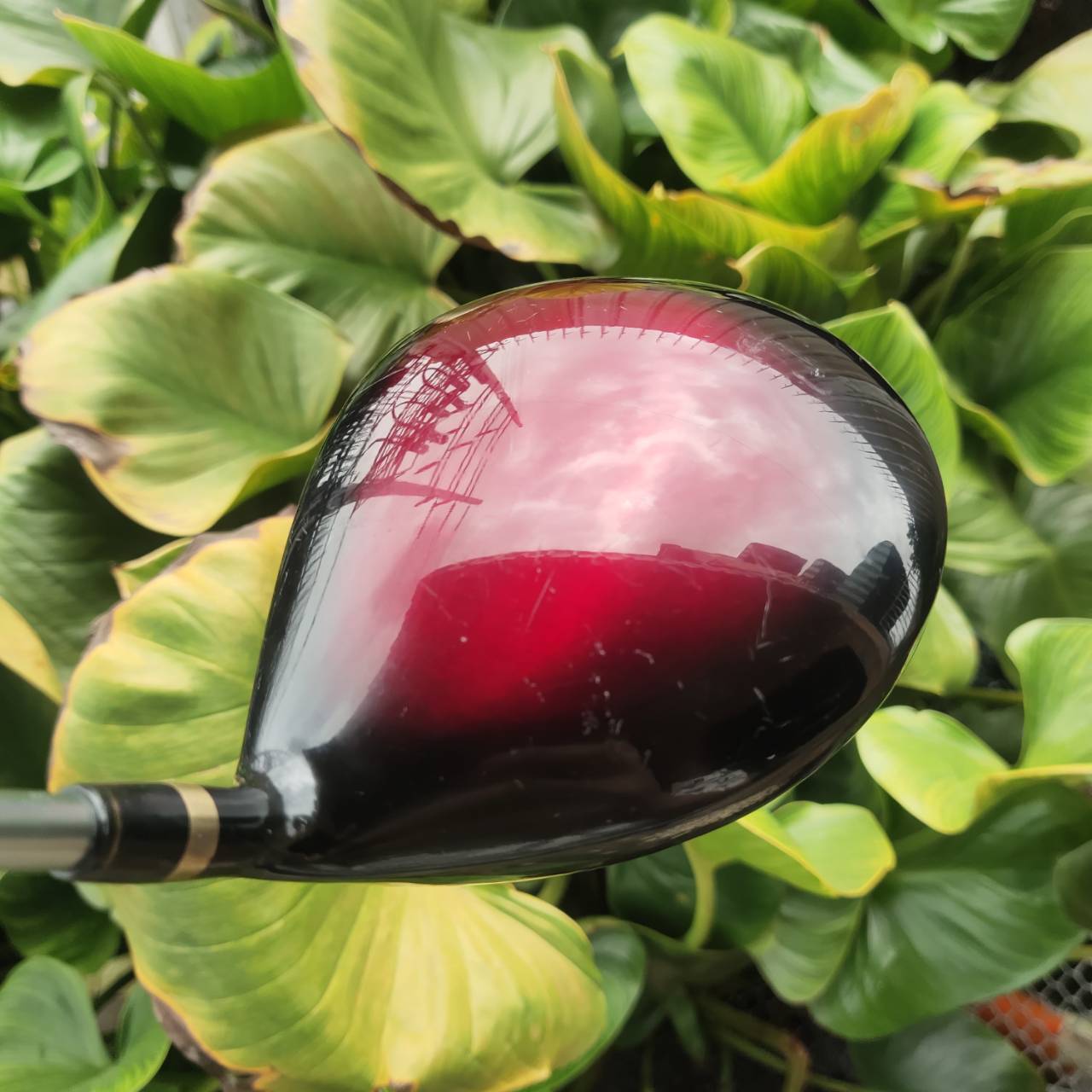 Driver GOLDREN LYNX หน้าเด้ง Hi-COR ตัว SUPER PREMIUM ของ LYNX เน้นขายในญี่ปุ่น