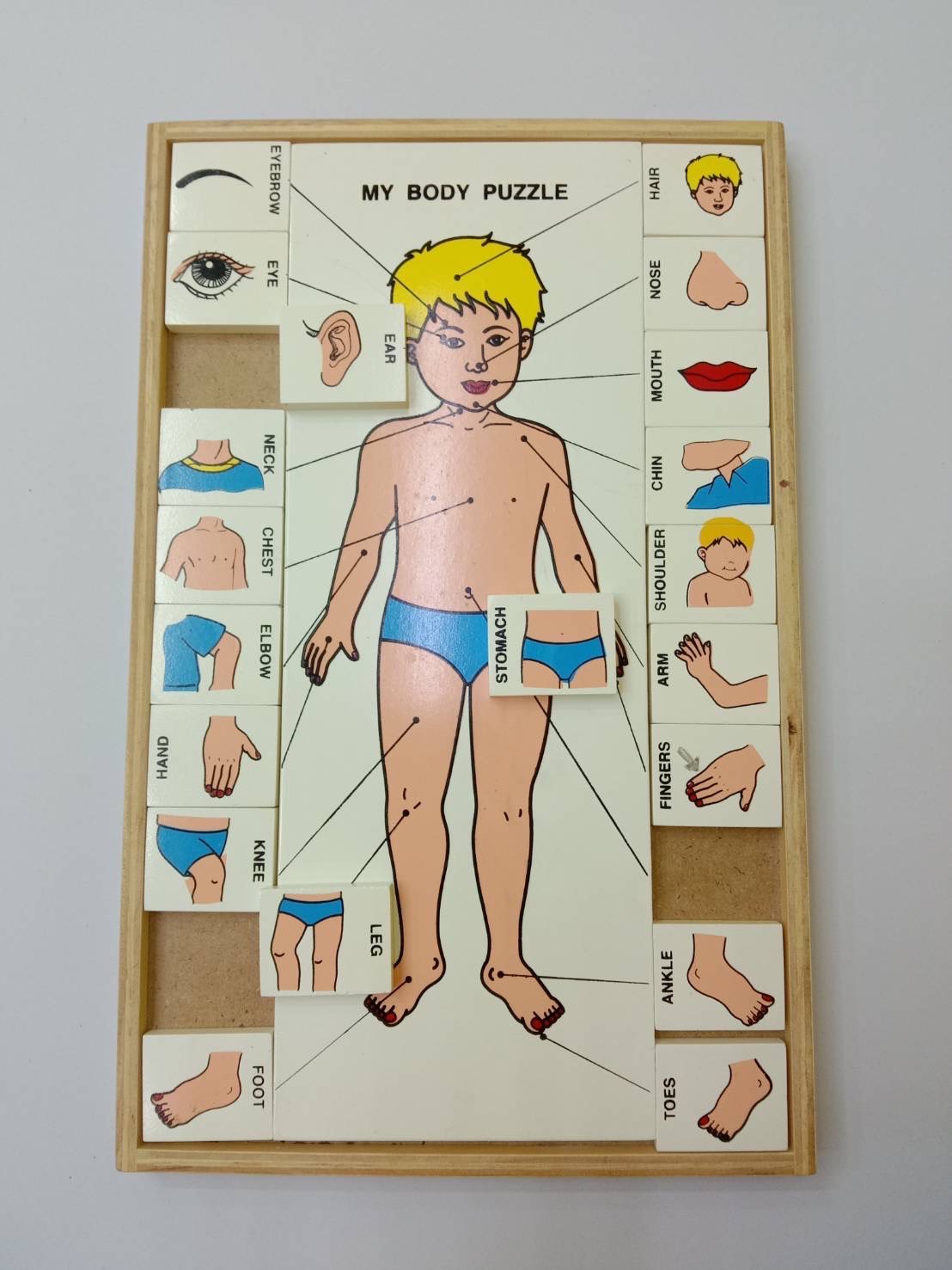 จับคู่ร่างกายของฉัน (ภาษาไทย) , ของเล่นไม้, ของเล่นเสริมพัฒนาการ, ของเล่นเด็ก, สื่อการสอนเด็ก