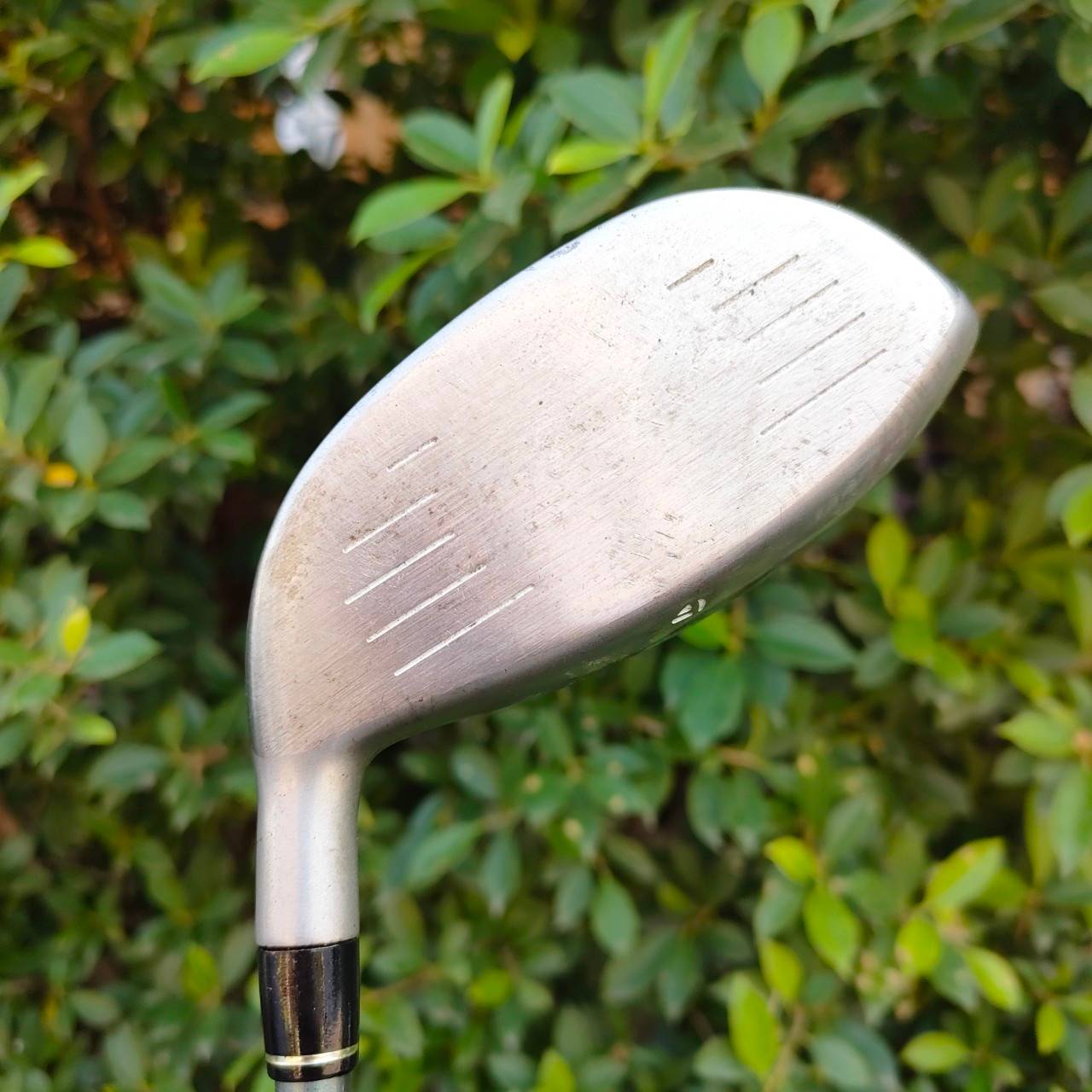 🏌️♀️ไม้กอล์ฟสำหรับผู้หญิง 🏌️♀️ 🔥 สุดพรีเมี่ยมจากญี่ปุ่น 🔥 . SET TAYLORMADE MISCELA