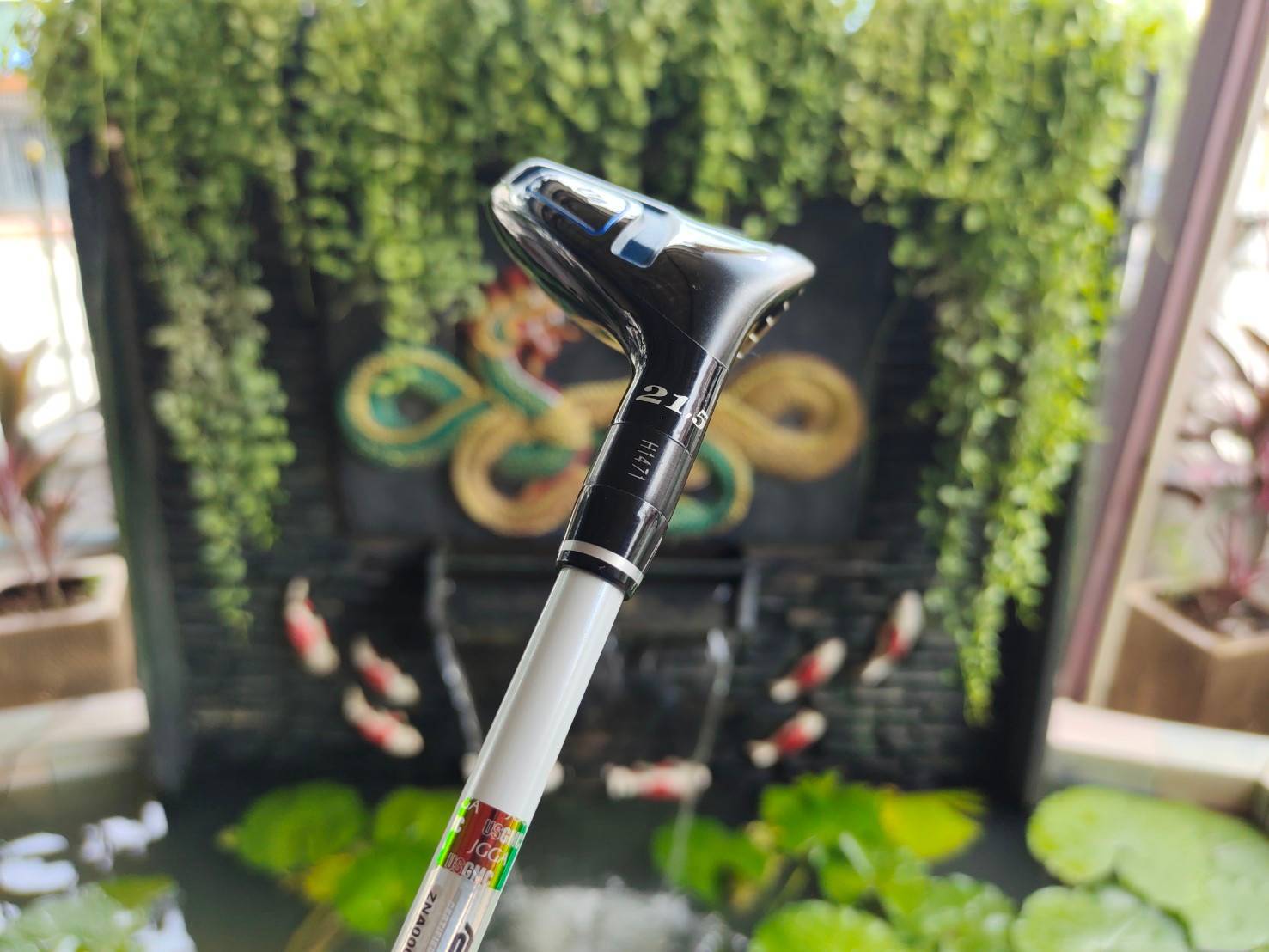 UT 4 Royal Collection