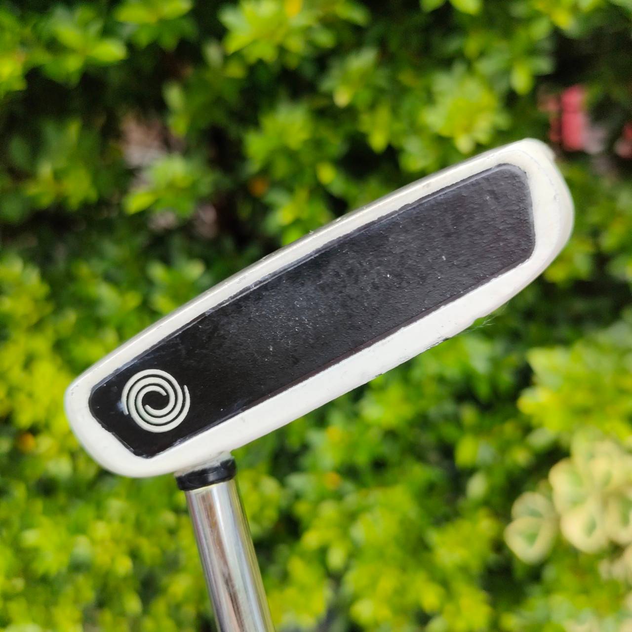 PUTTER ODYSSEY VERSA 2-BALL ความยาว 34 นิ้ว เป็นรุ่นที่ดีมากรุ่นนึง ของ 2-BALL พัตต์ได้แม่นยำ และตรง เล็งง่ายขึ้นมาก!! ไม้กอล์ฟมือสอง ของแท้ BY NakaraLuxurious